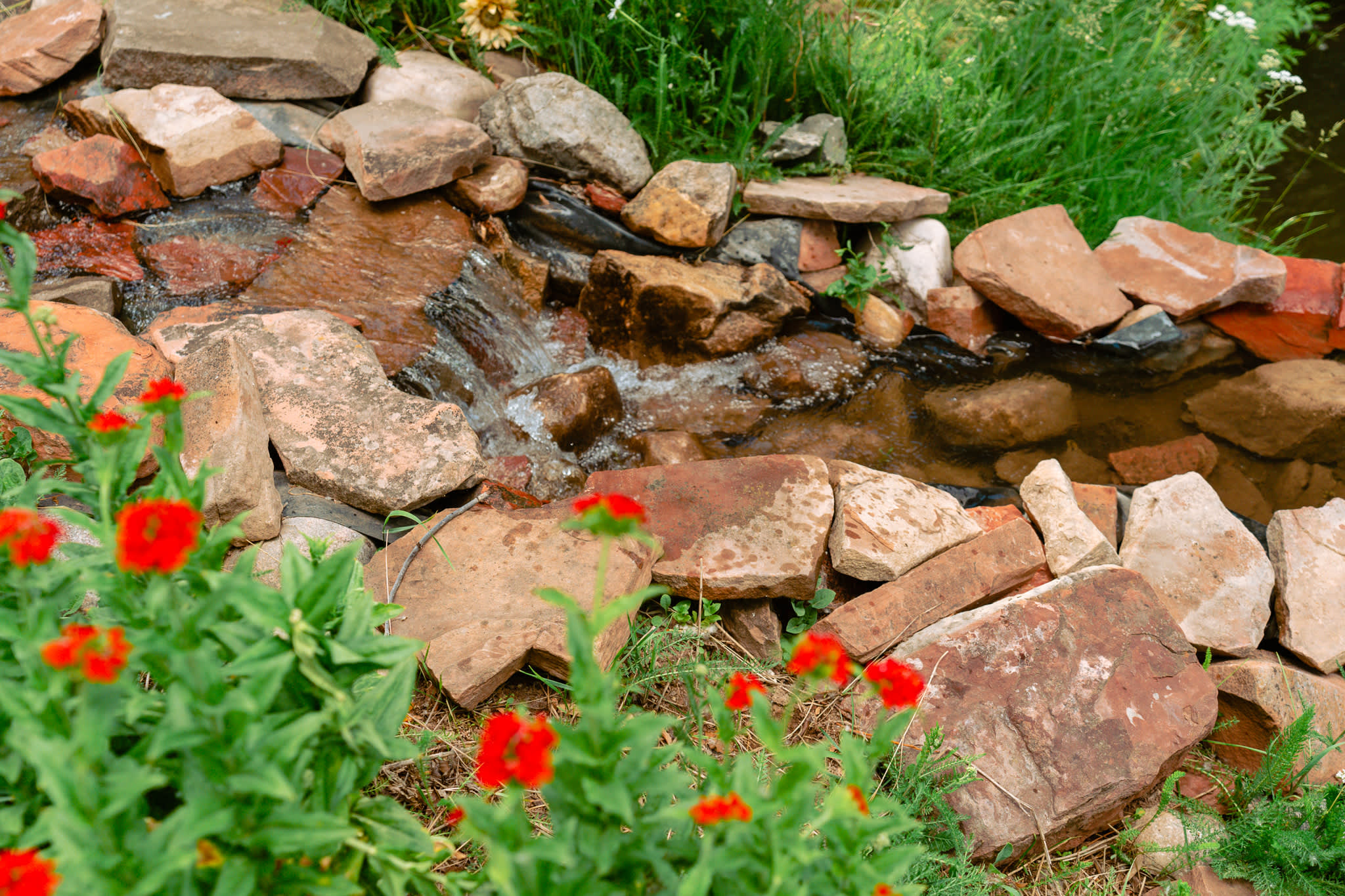 Beautiful little waterfall!