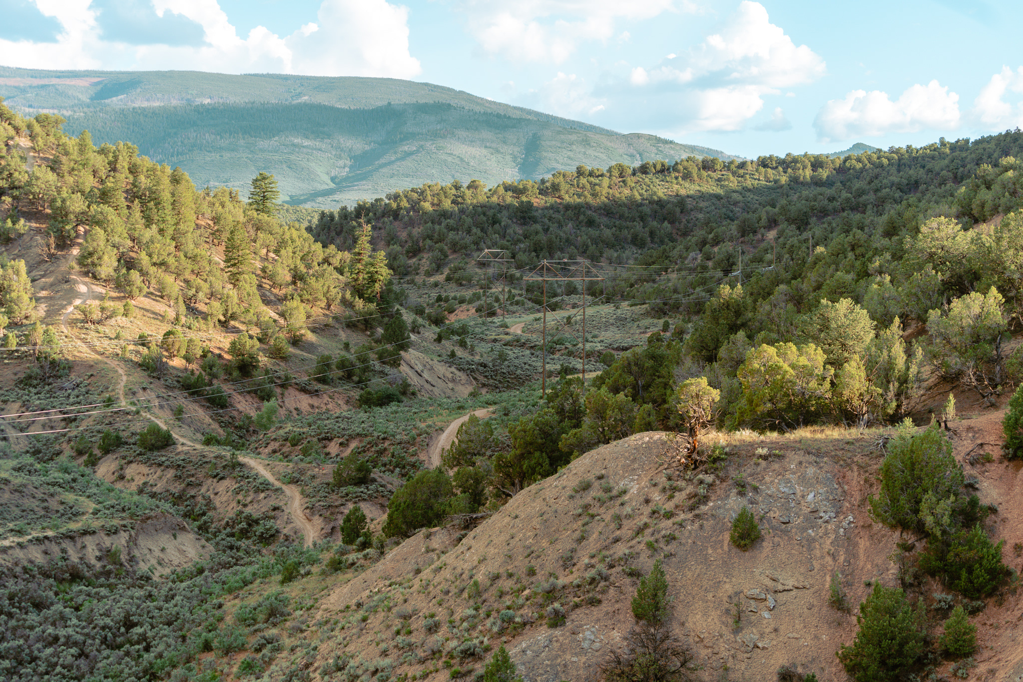 There are so many biking and hiking paths here!