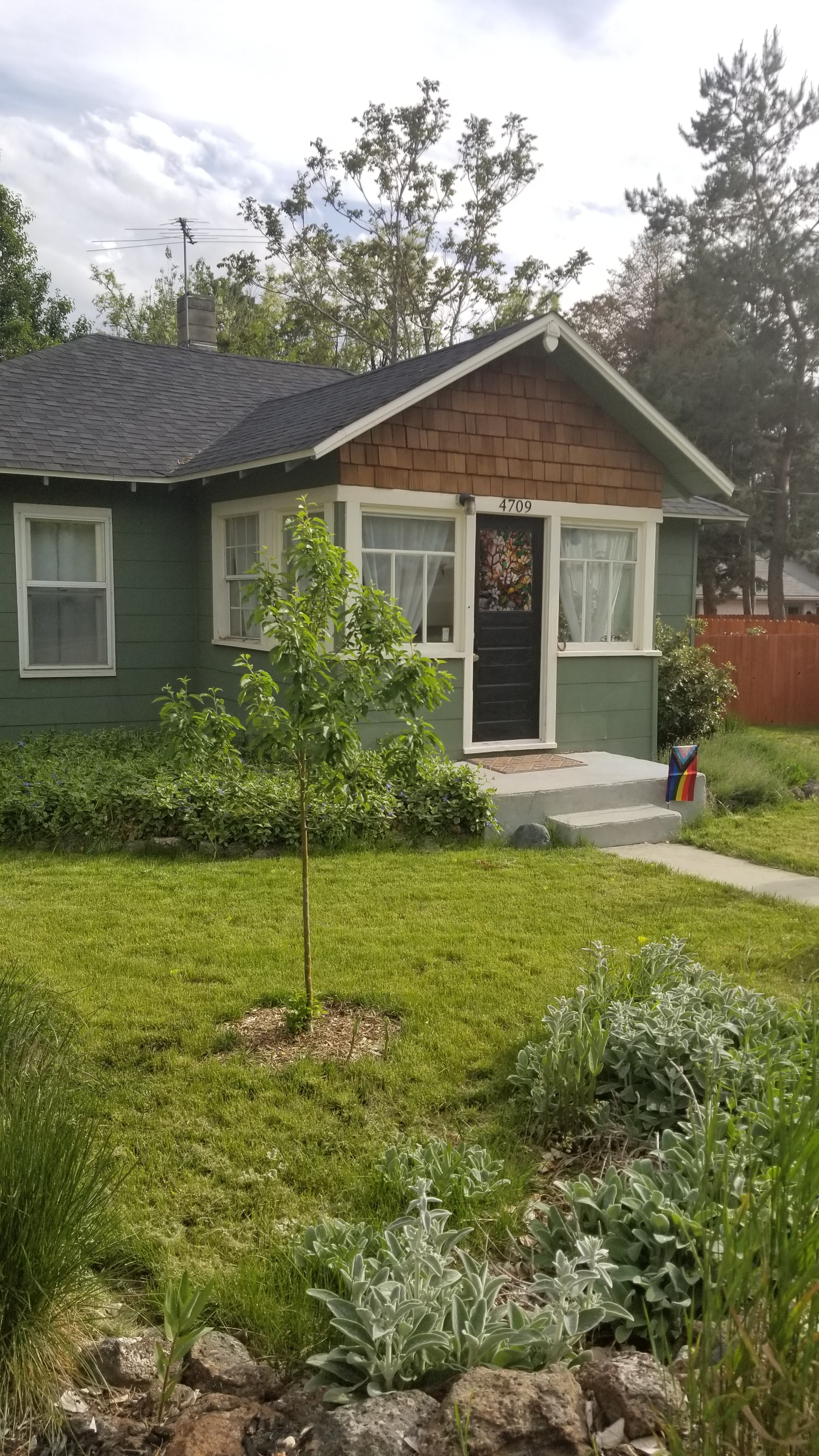 Private backyard oasis