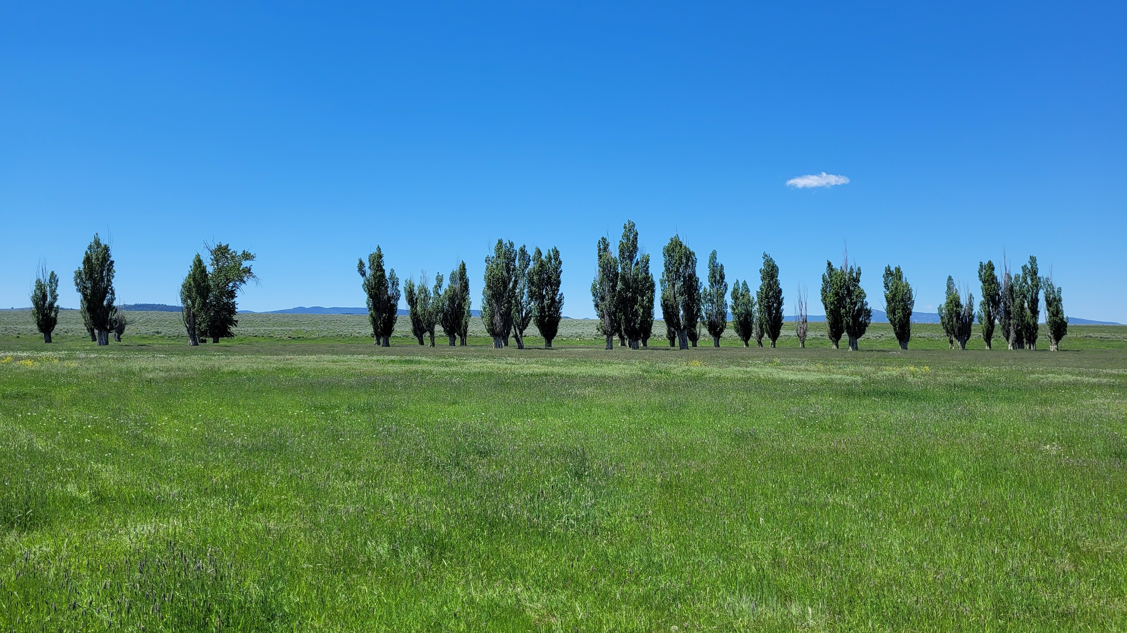 Feel free to park and camp in the Poplars