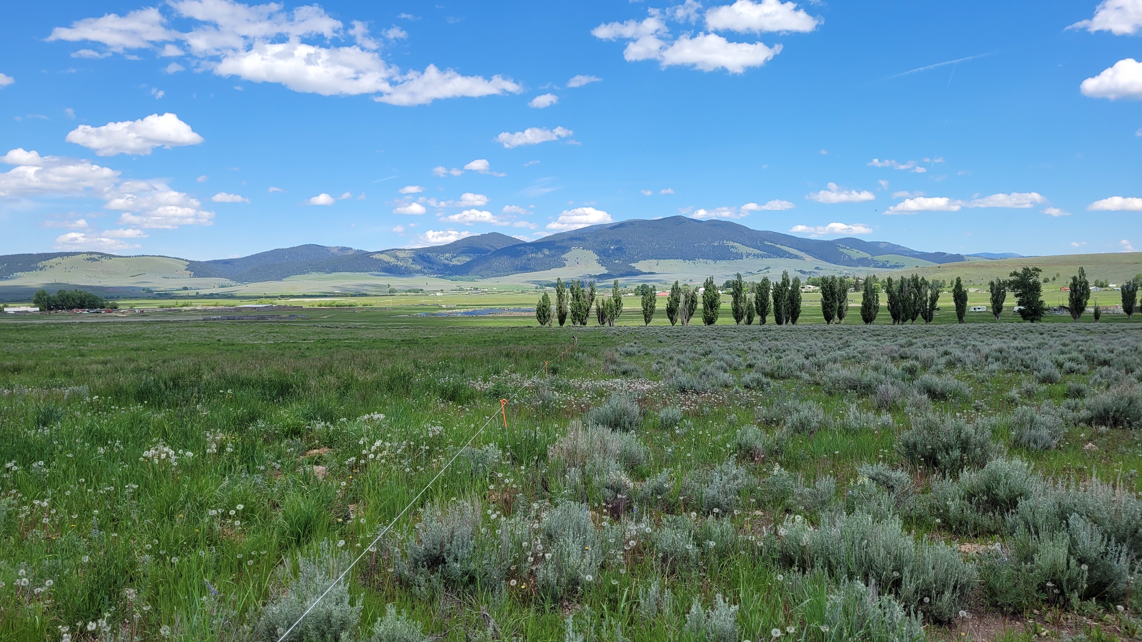 Geary Brothers Ranch