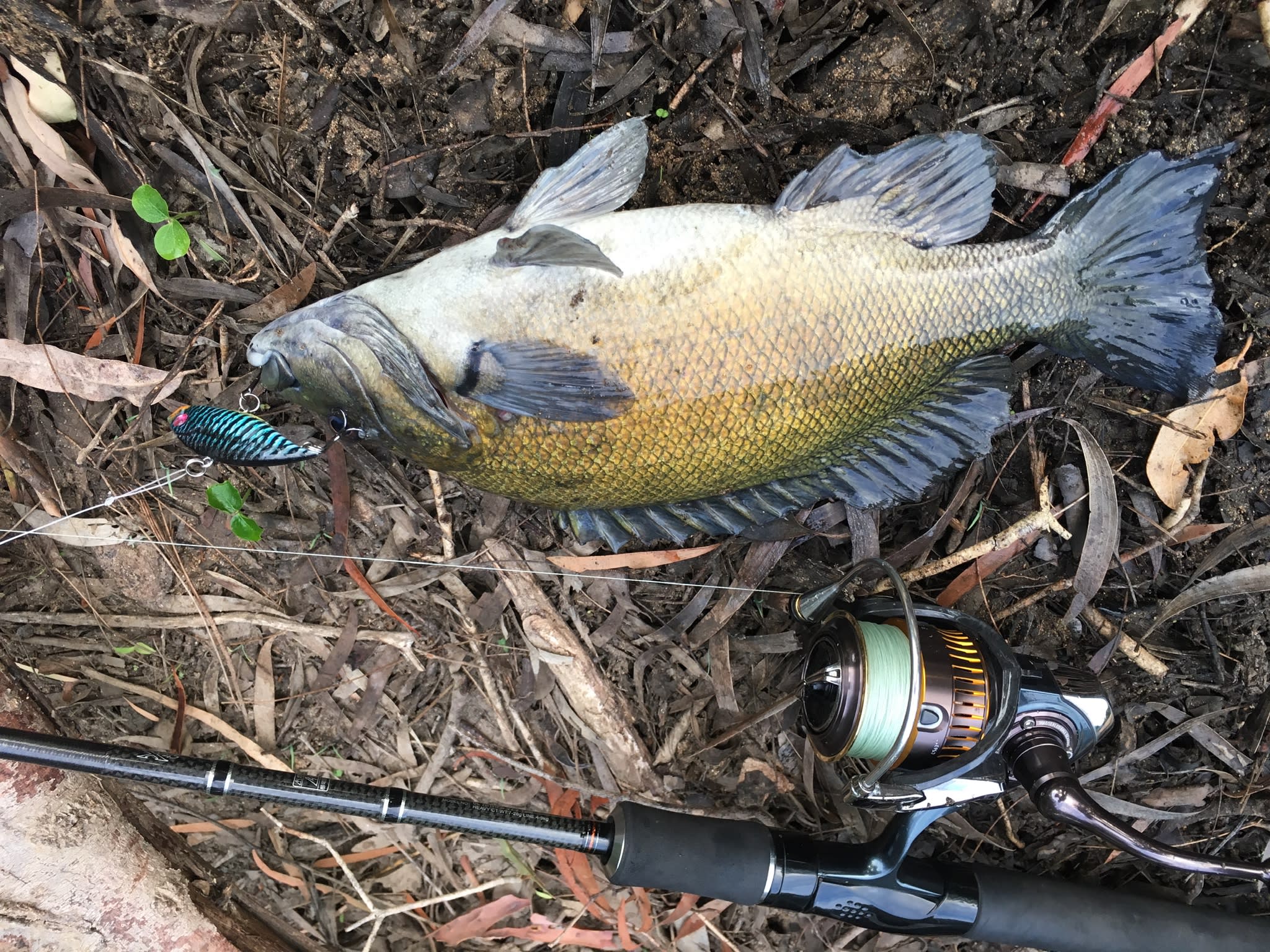 Short walk up past the bridge for fun fishing 