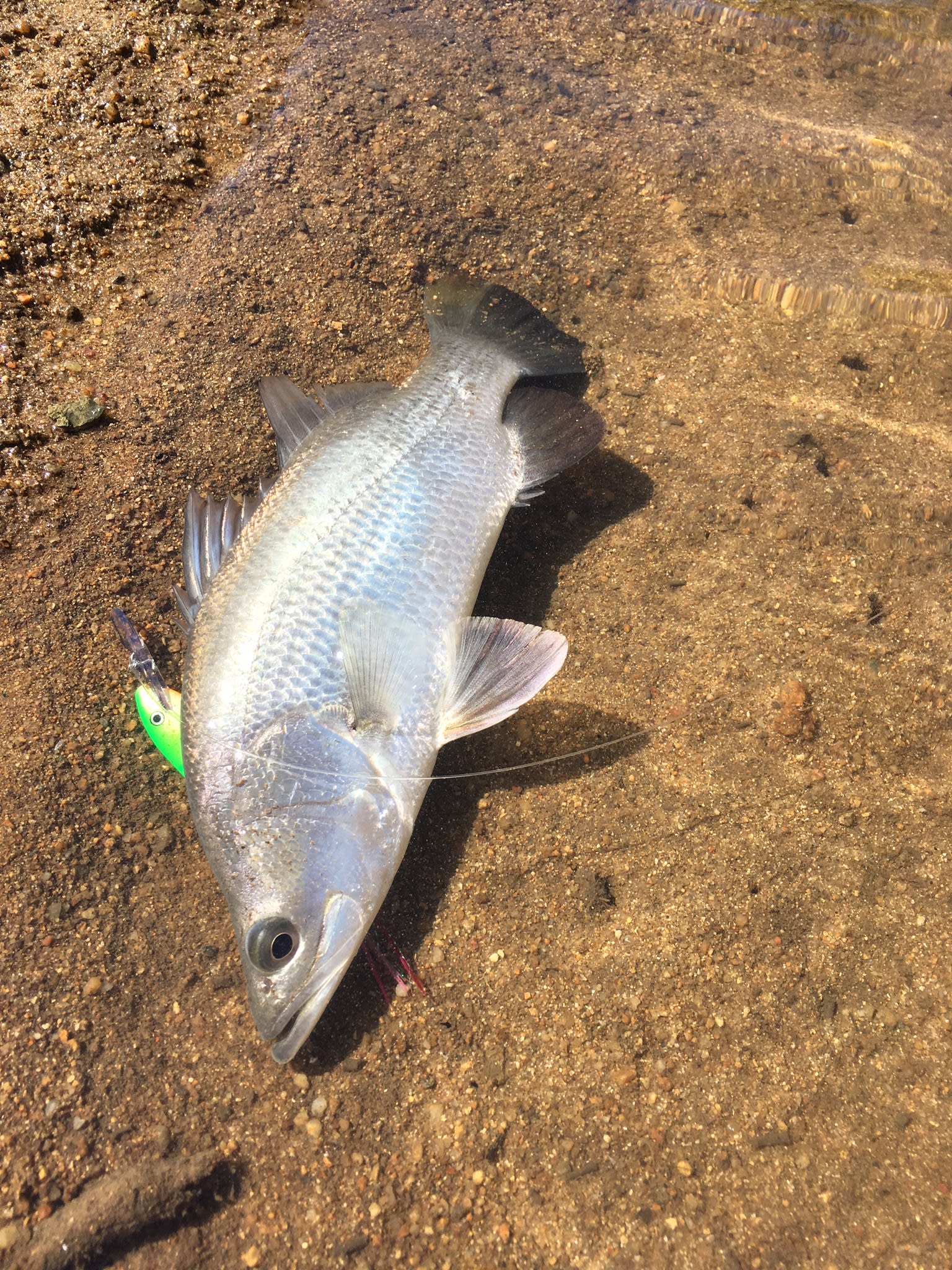 Be sure to take a fishing rod when you go exploring the river 