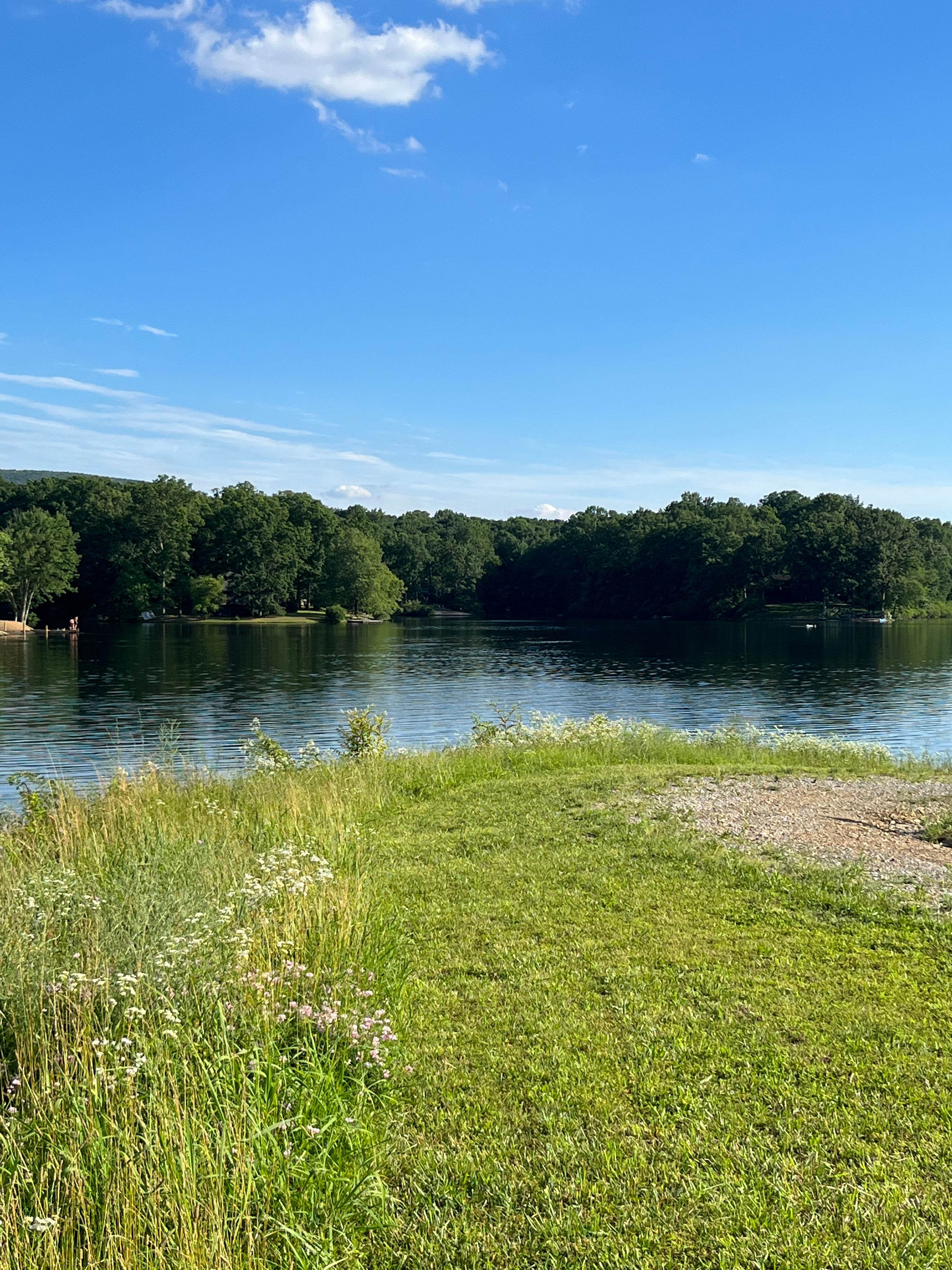 Lake Shannondale