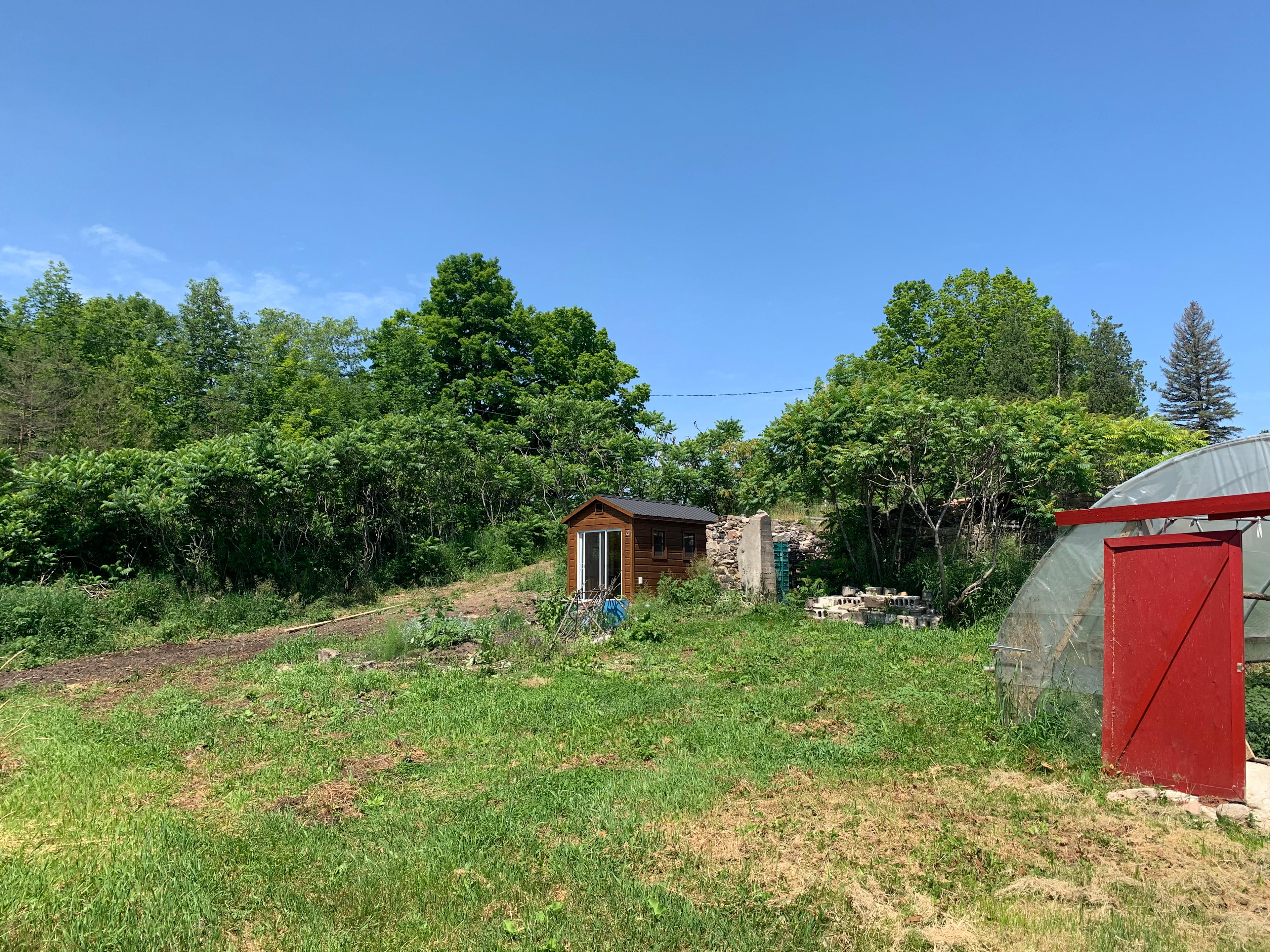 Tucked into the old barn foundation, next to the greenhouse