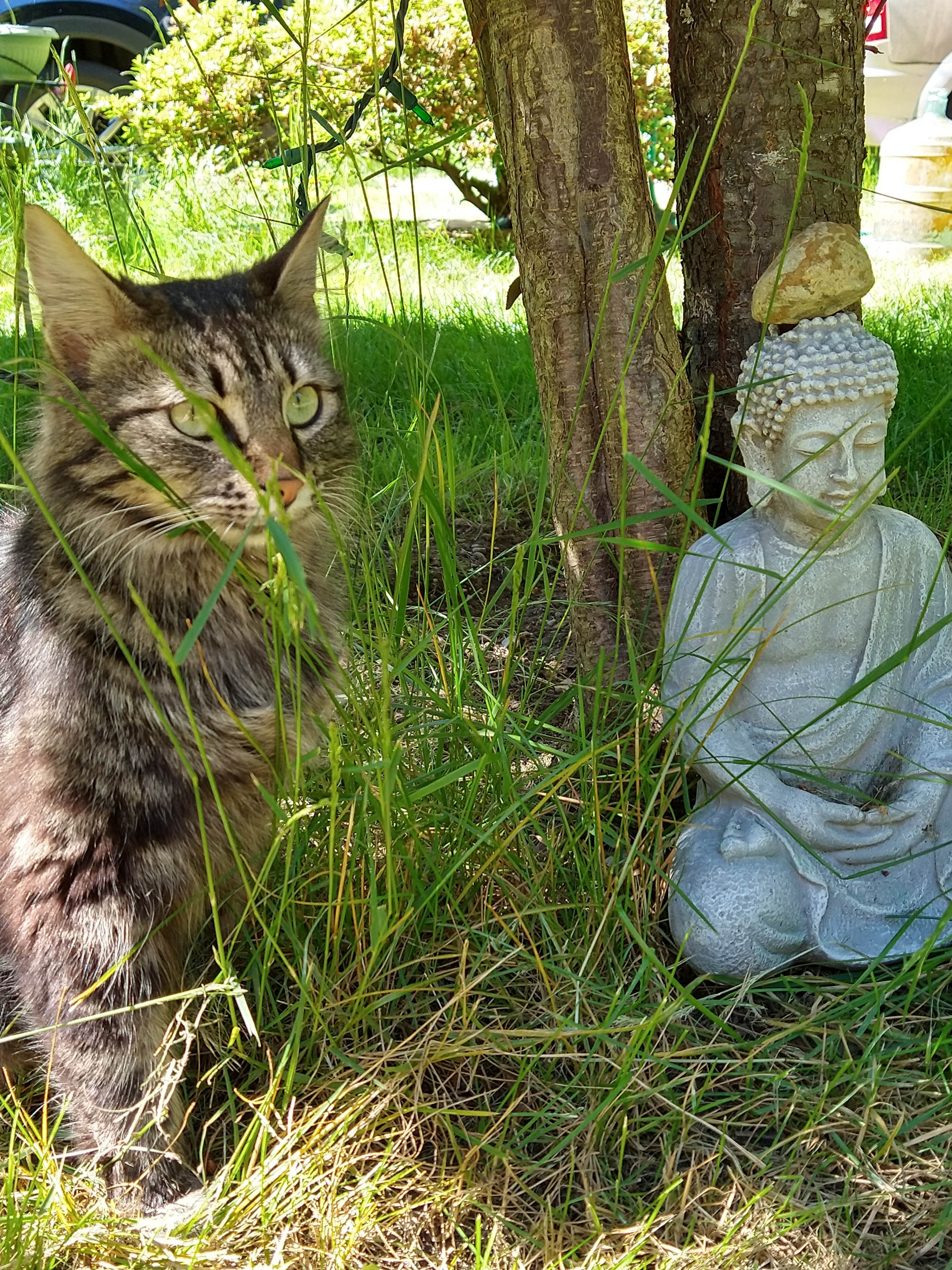 Trails End Canal🌿