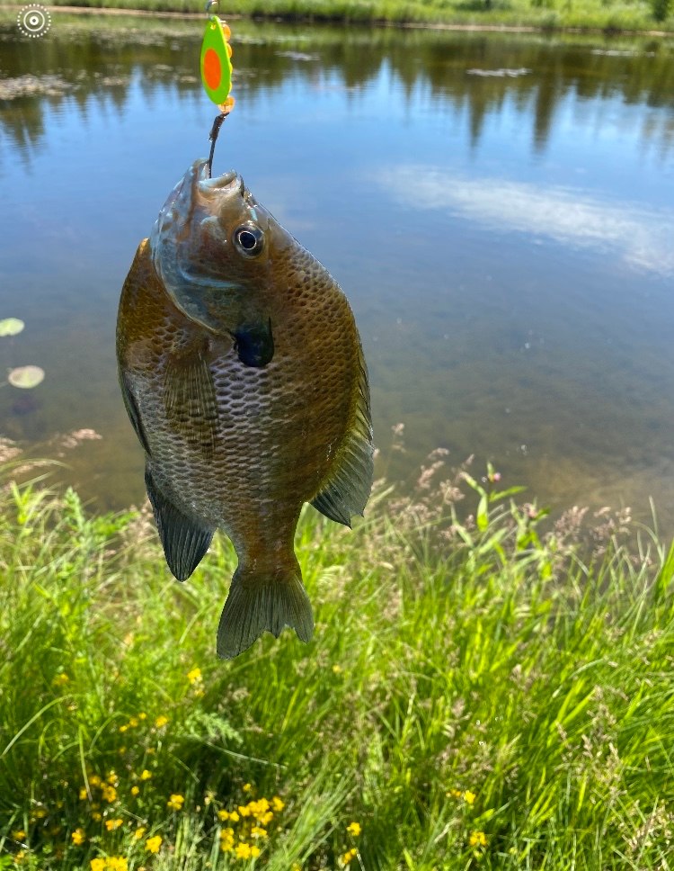 R&R Back Road Country Retreat