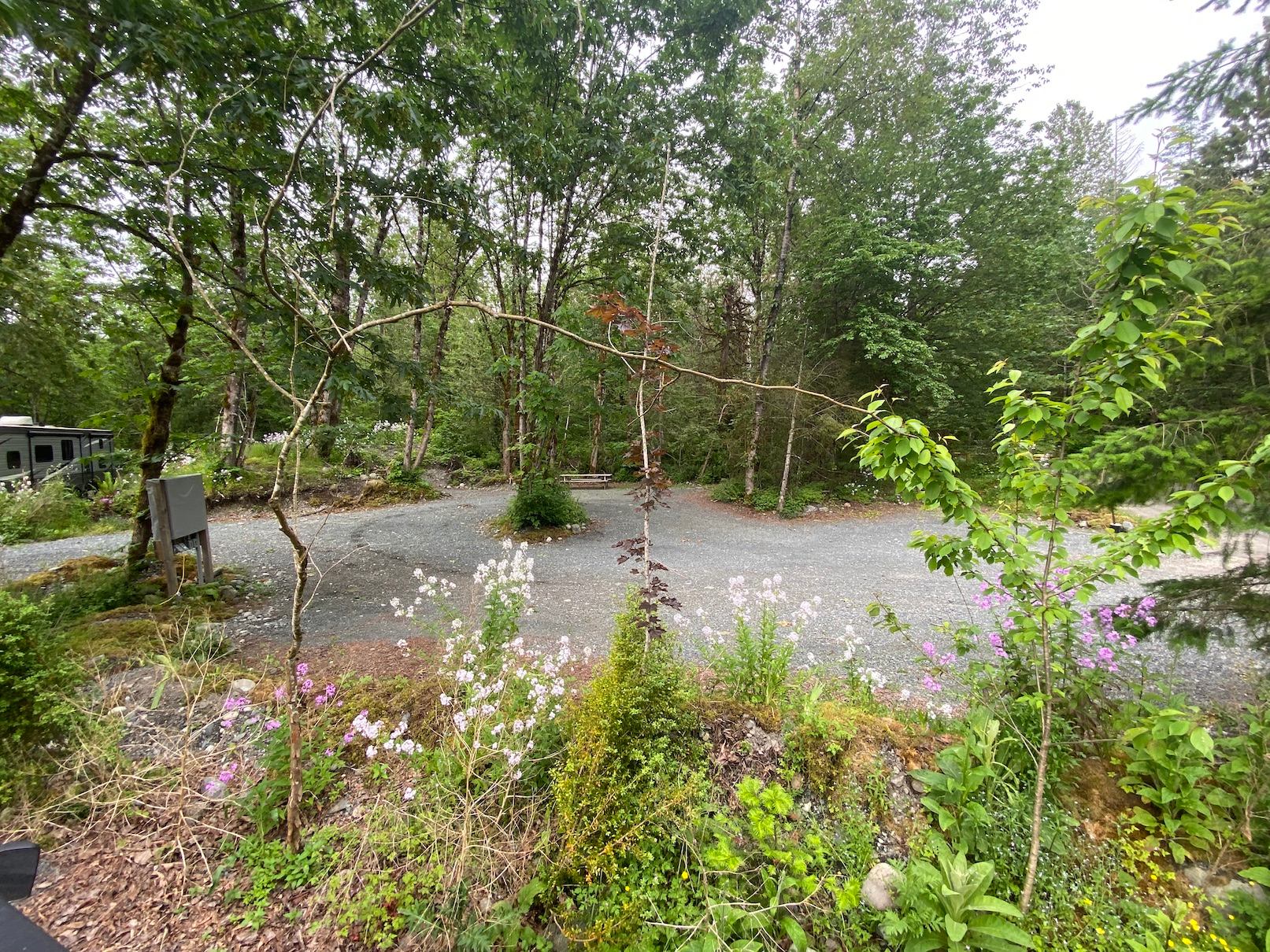 The site