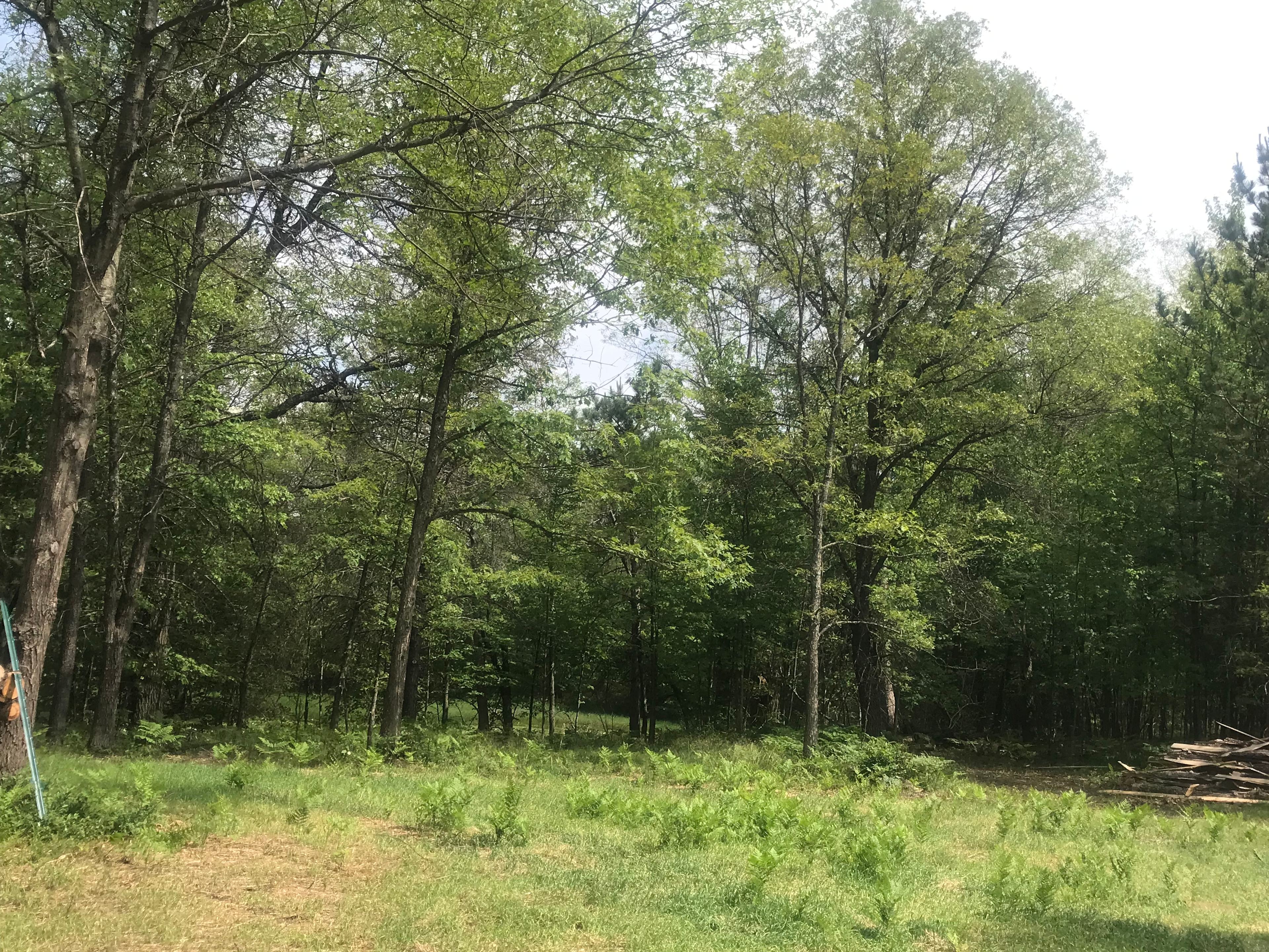 Dan's Acre’s Cabin’s and camping