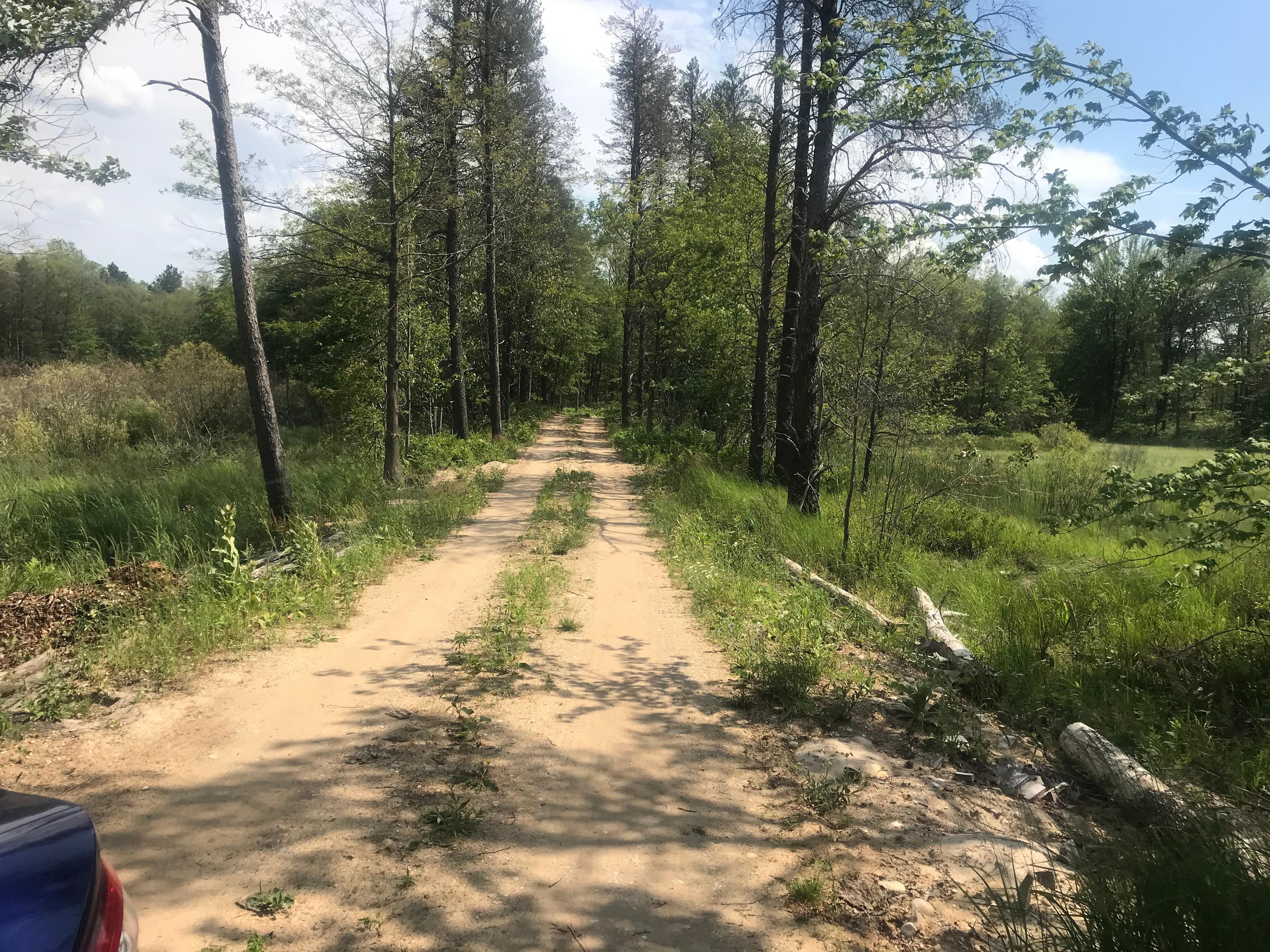 Dan's Acre’s Cabin’s and camping