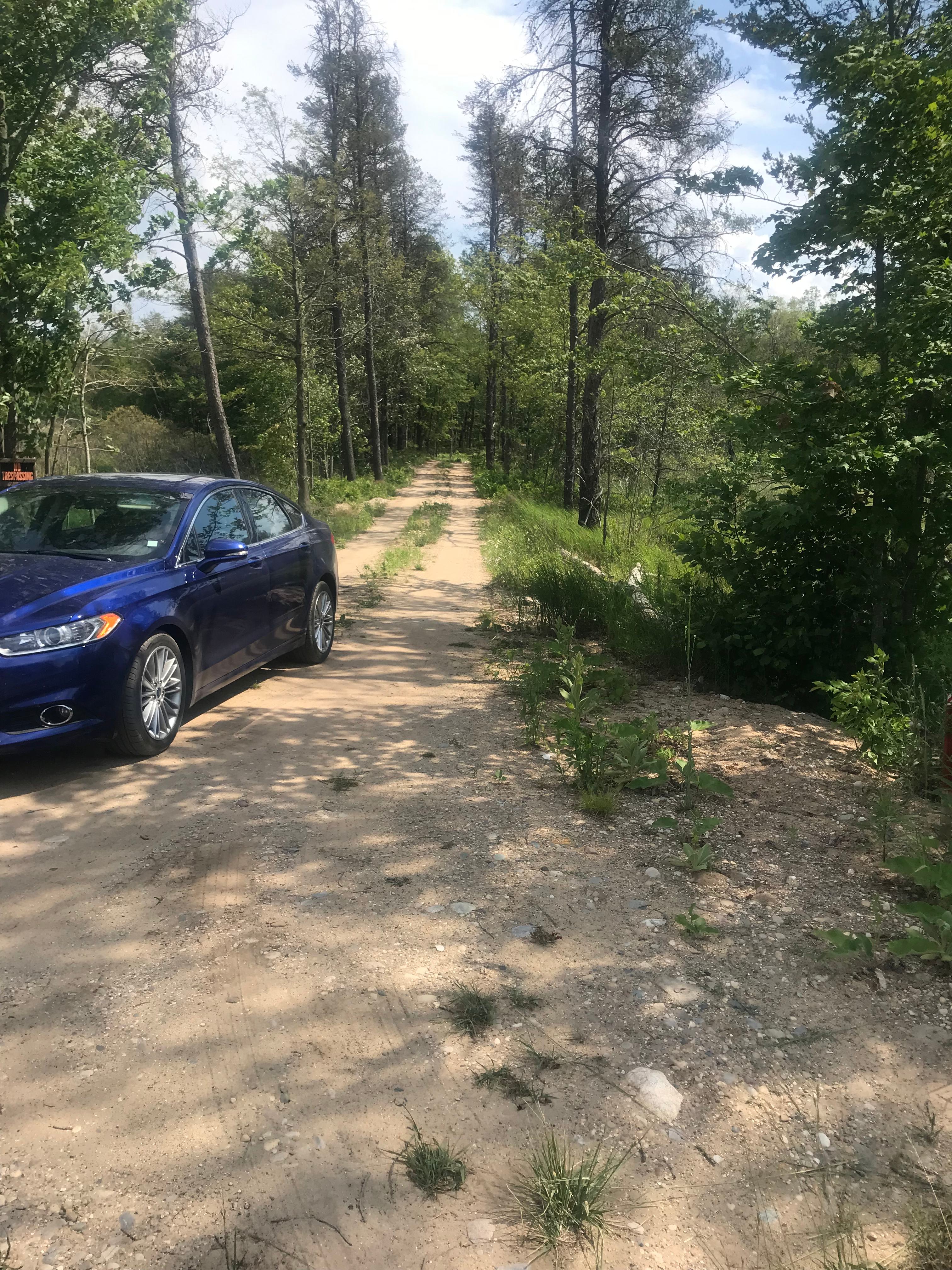 Dan's Acre’s Cabin’s and camping