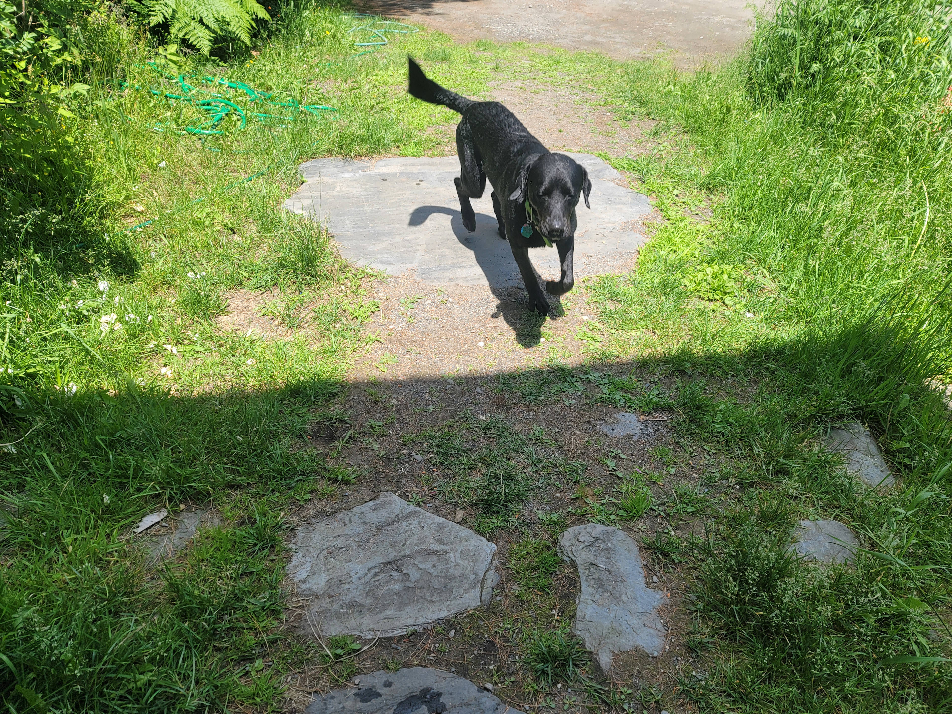 Ladd Pond Cabins and Campground