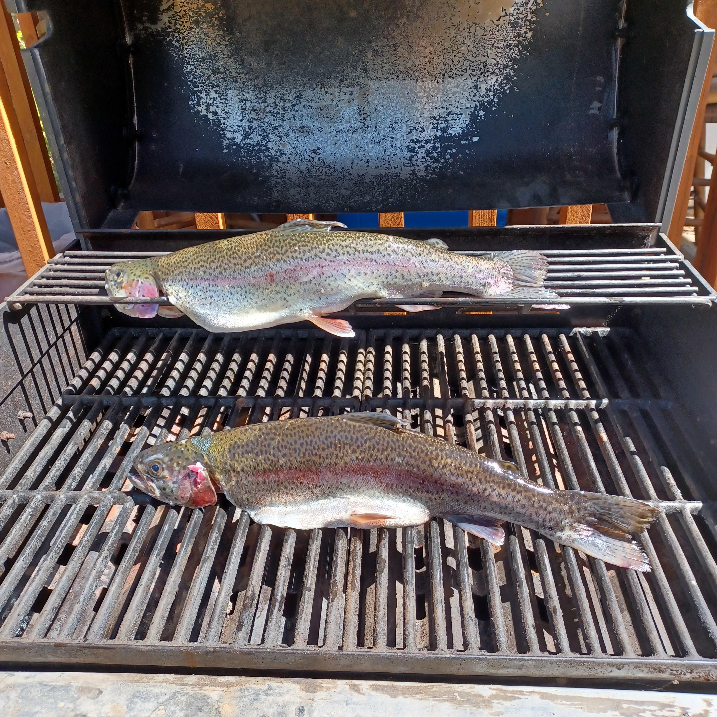 Silver Sky Ranch R.V Park