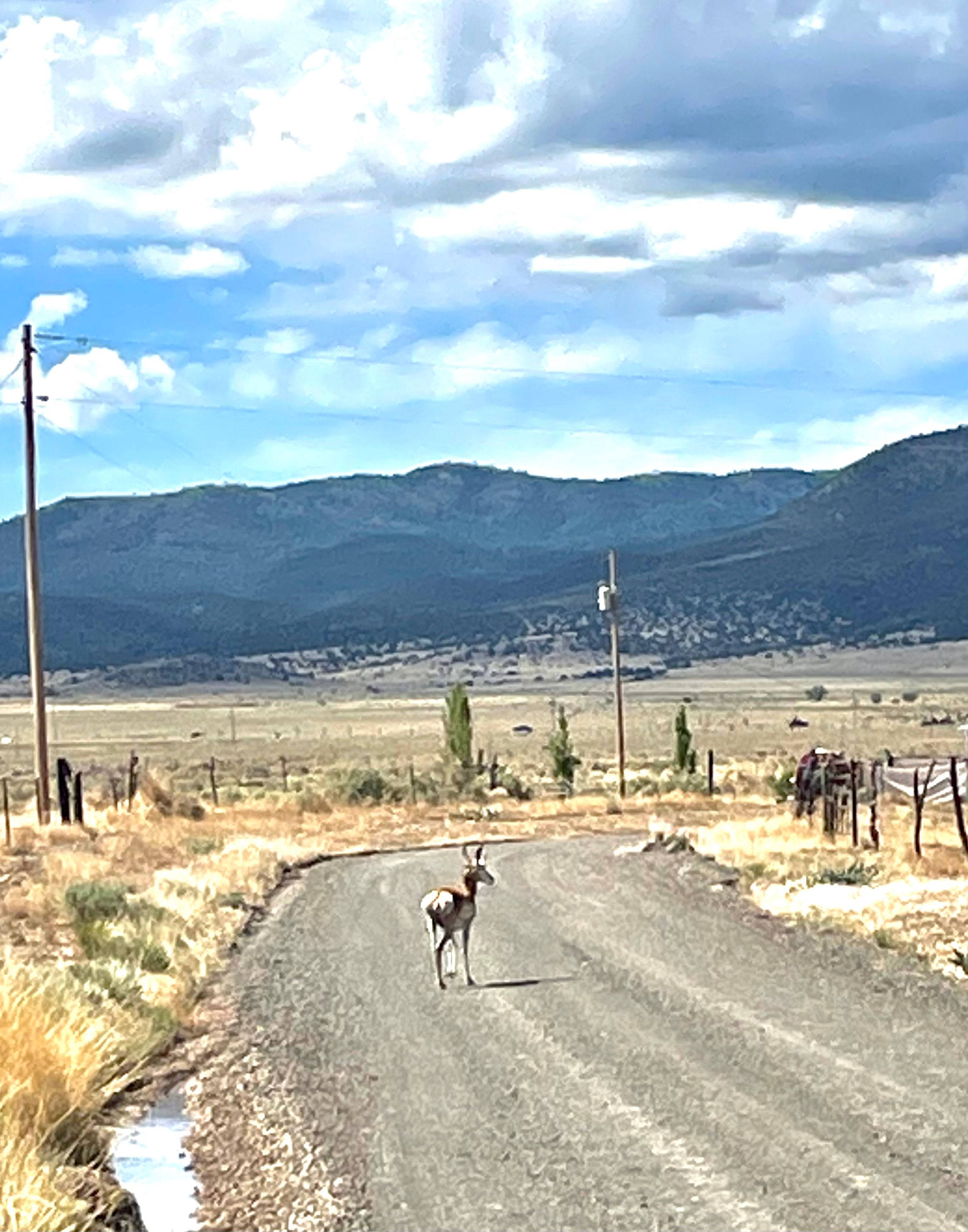 R&S Co. Ranch