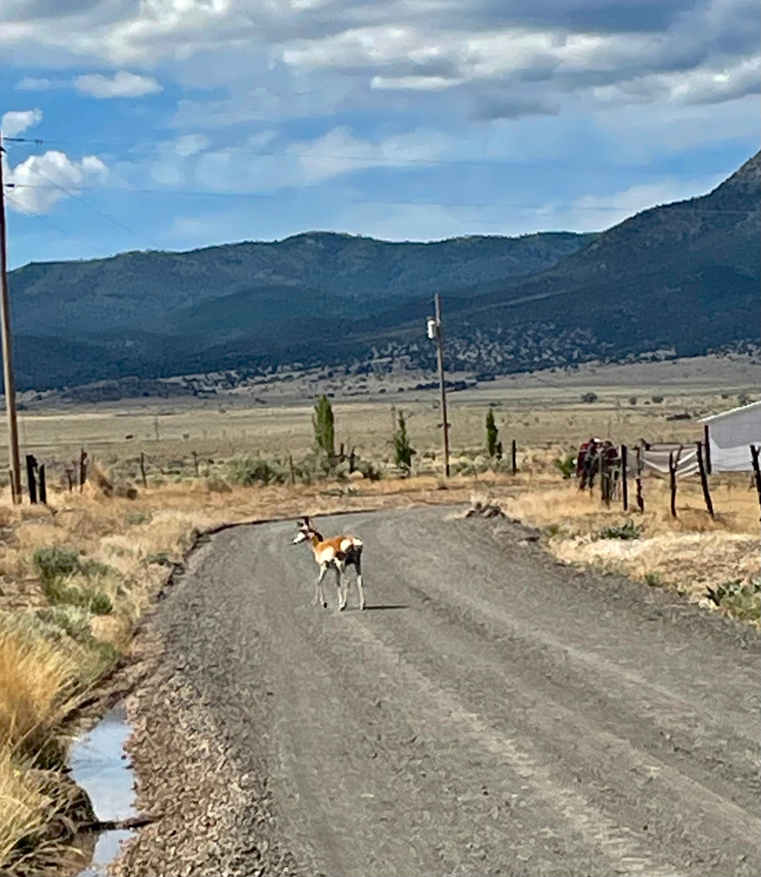 R&S Co. Ranch