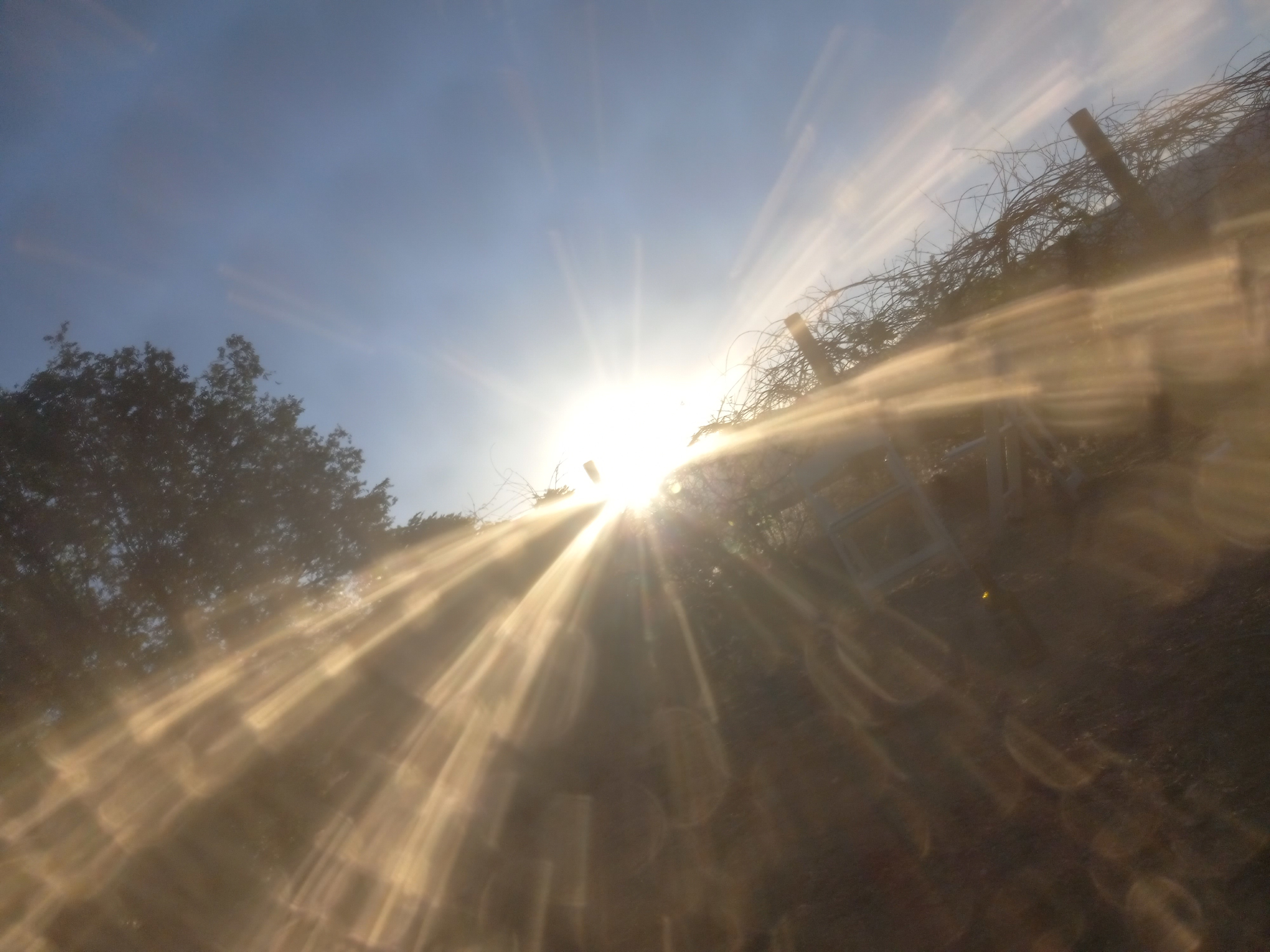 Sunrise in the AM