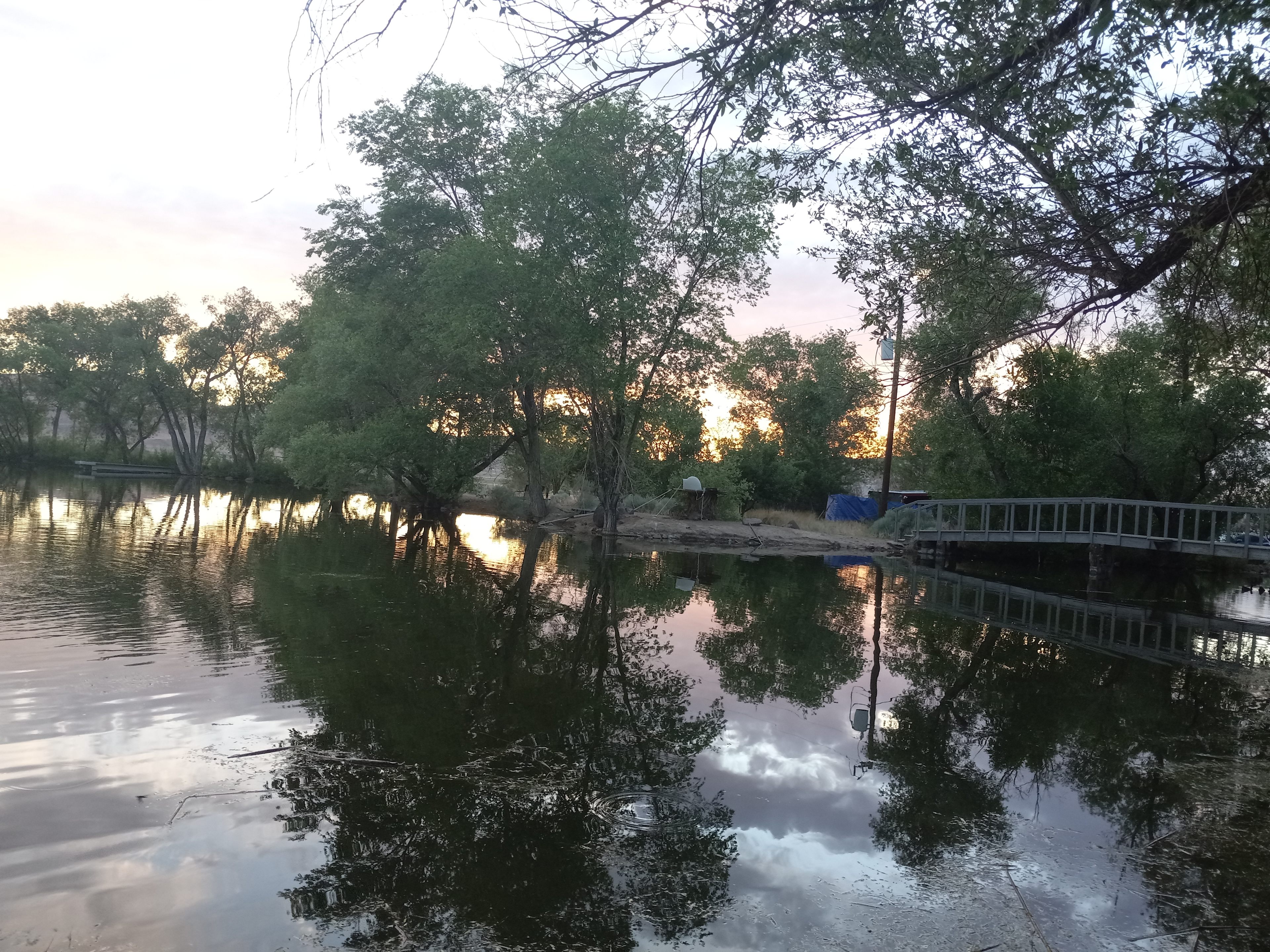 Pond
