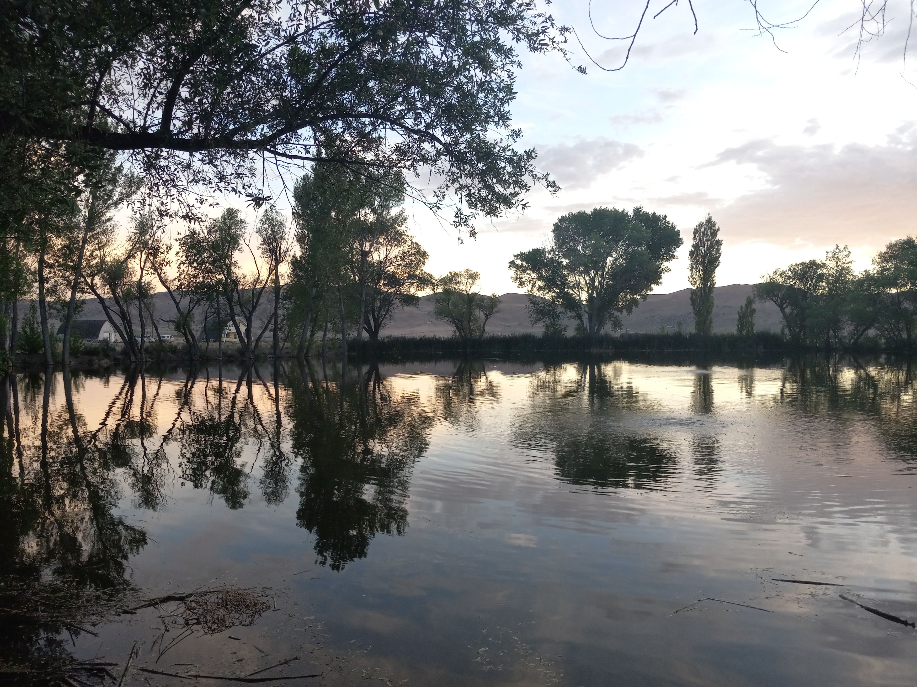 Campsite