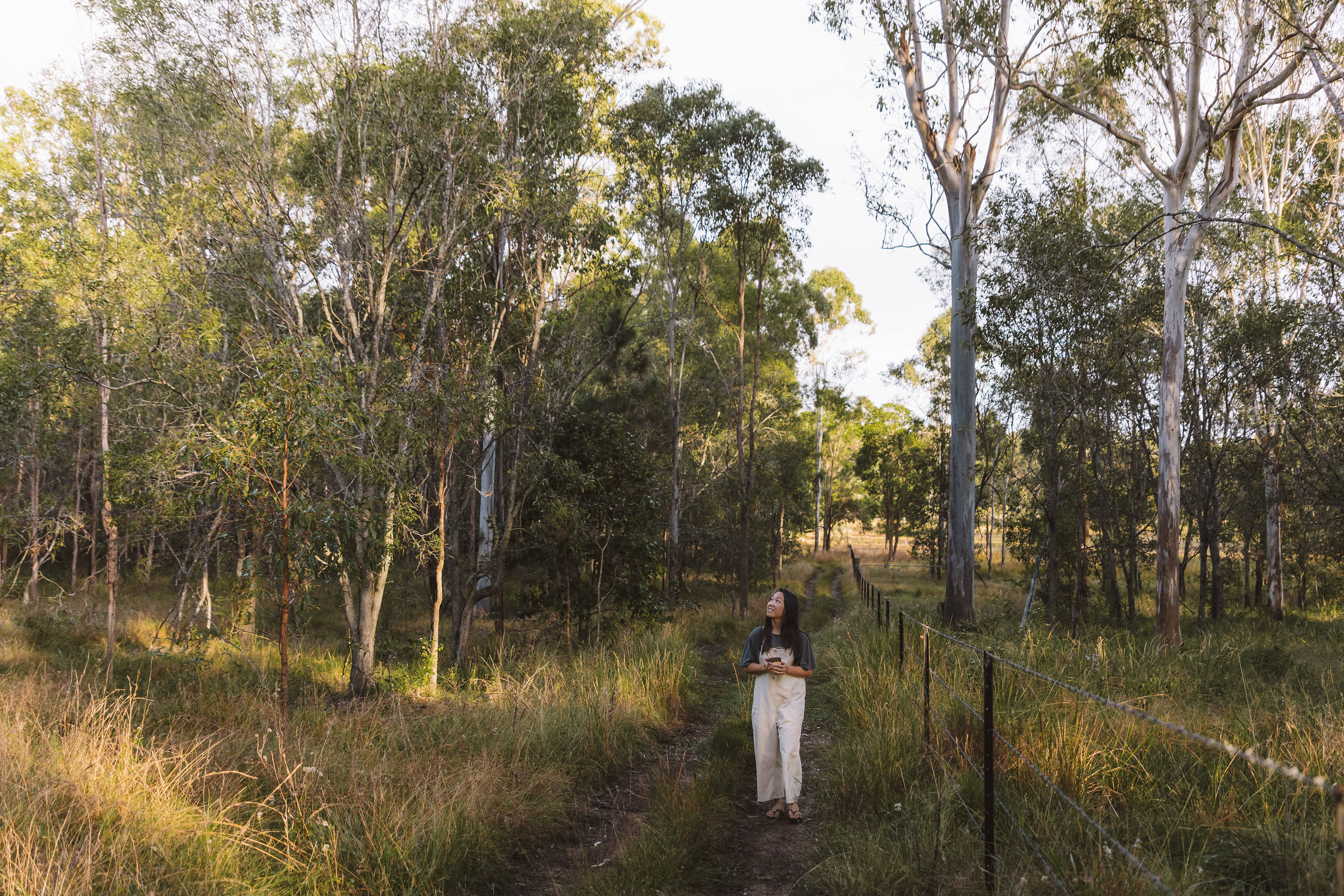 Morning walk in the paddock