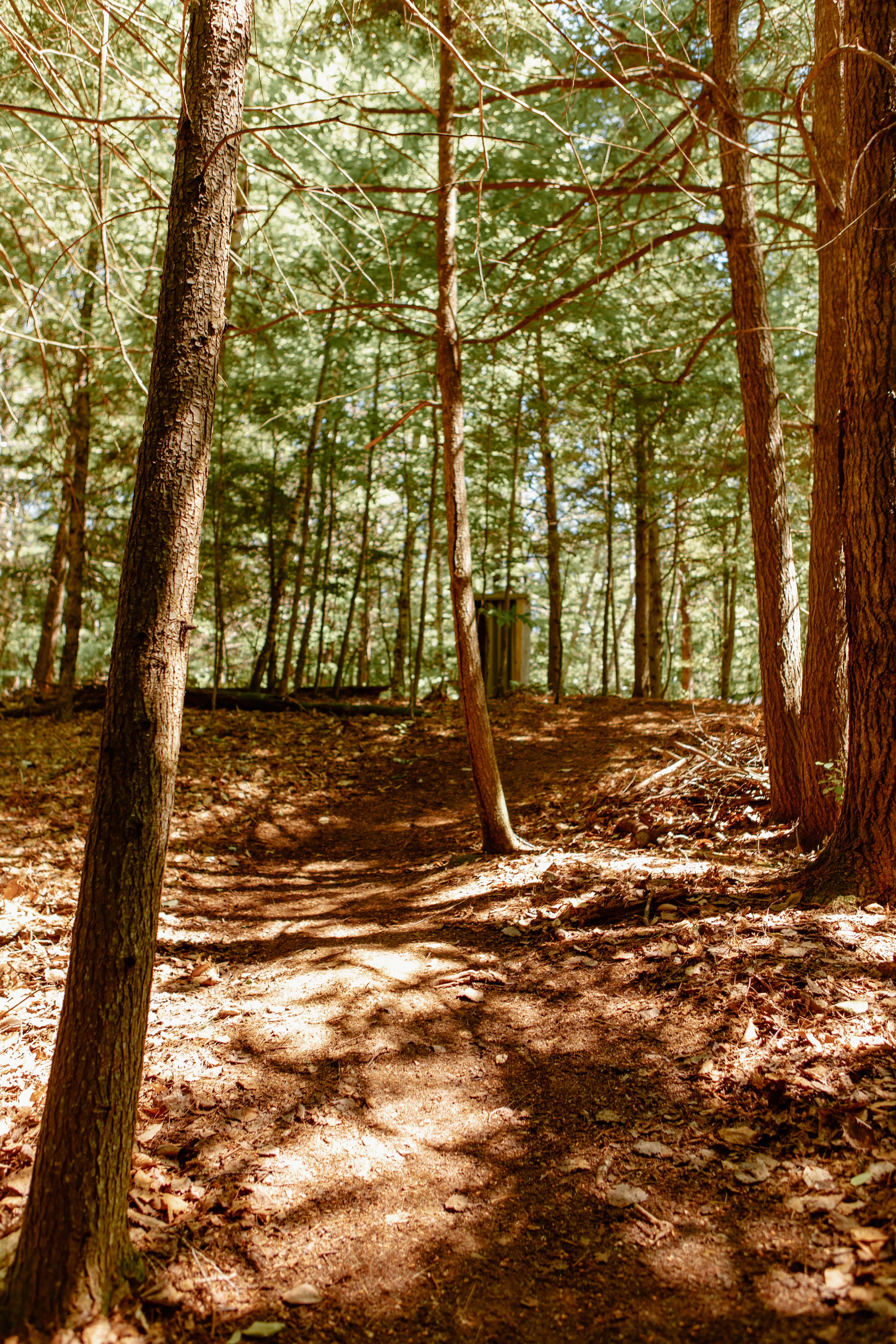 Path from campsite to the outhouse 