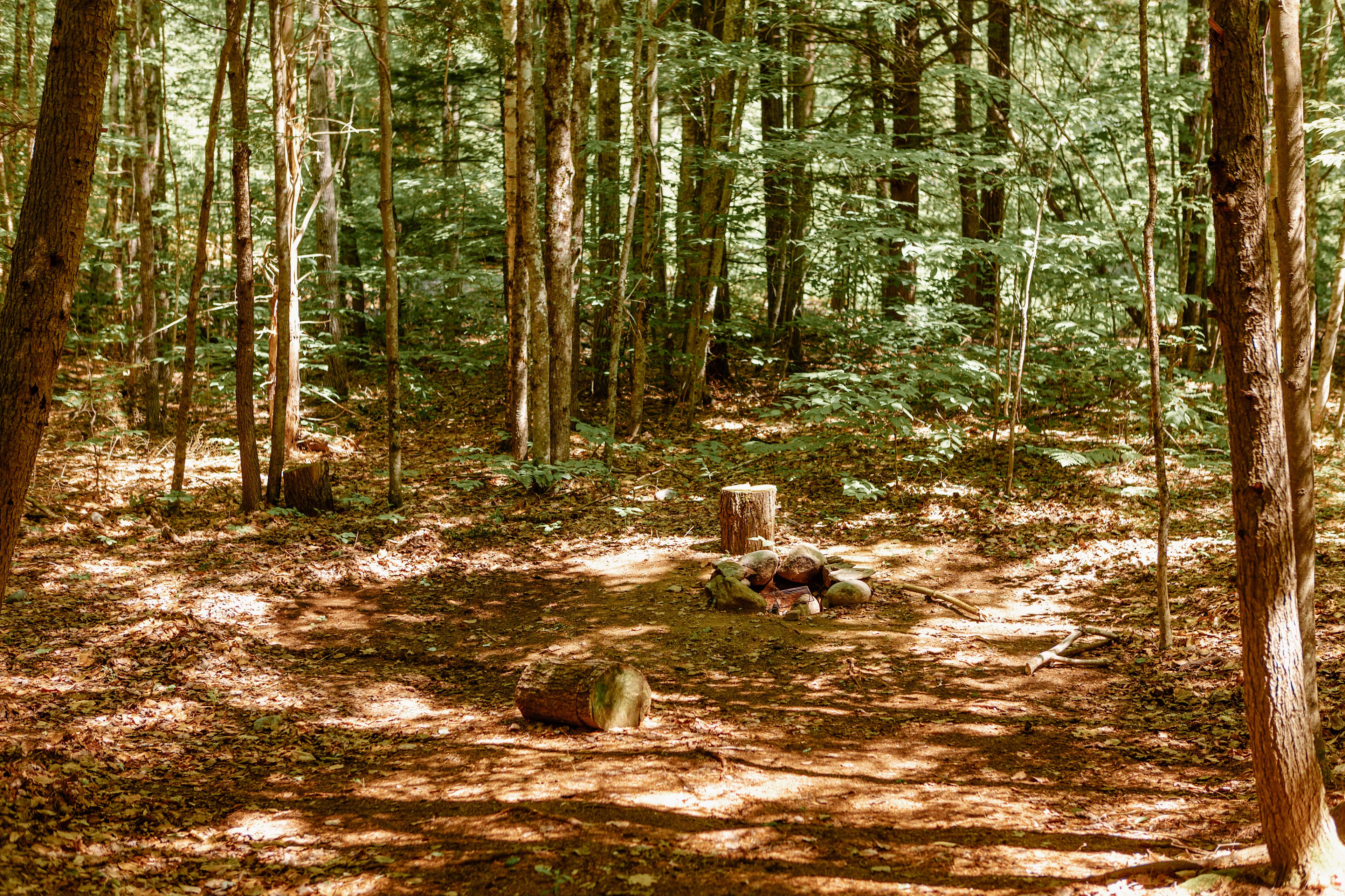 campsite #2