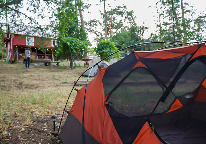 Jackass Hostel
