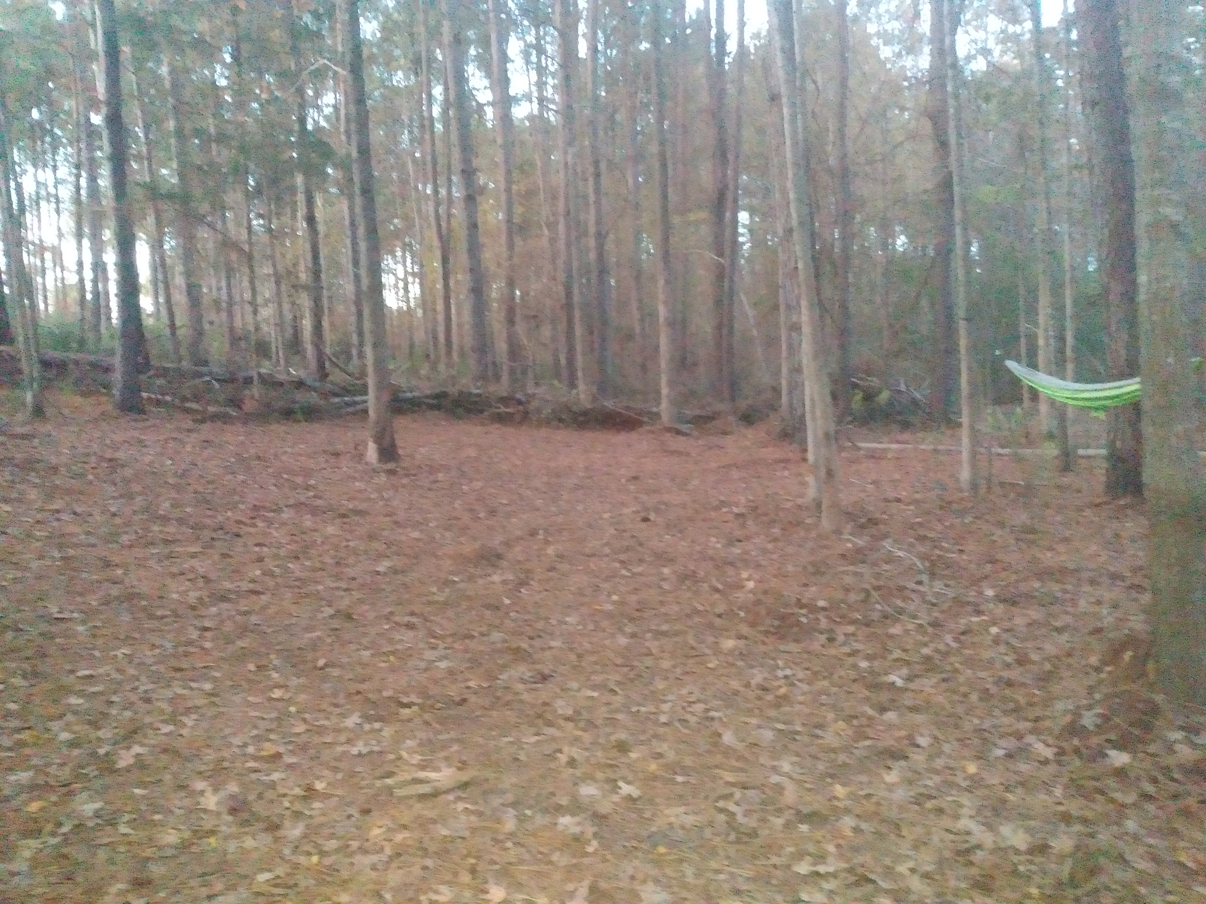 Piper's Parish: This site is just off the south road on the property and provides ample space for campers and pop-up tents.  With a heavy duty extension cord, you can easily power up to 45 amps.  This is our largest camp site.