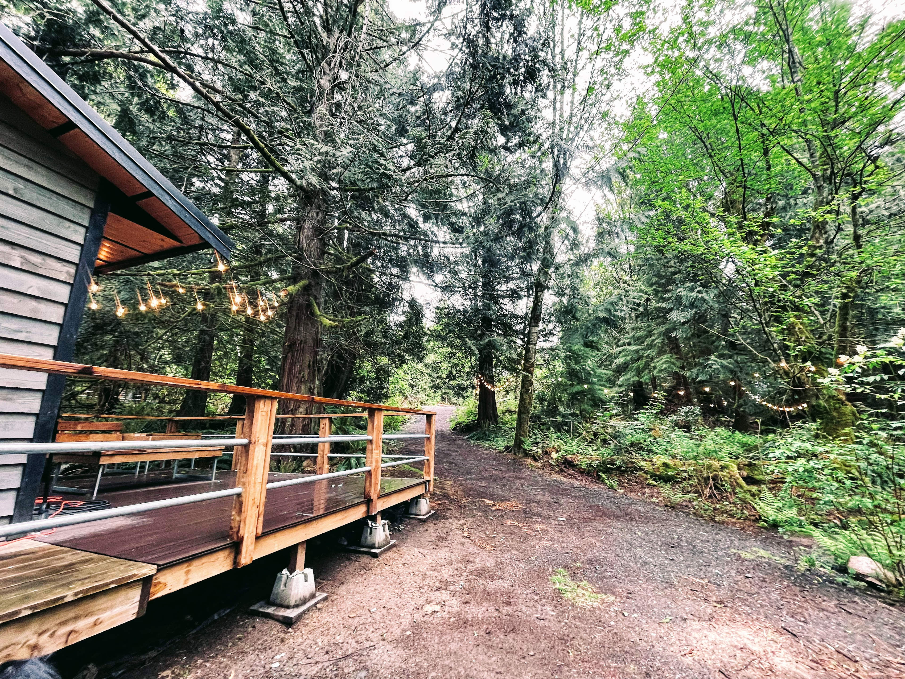 View from Tiny Home #2
