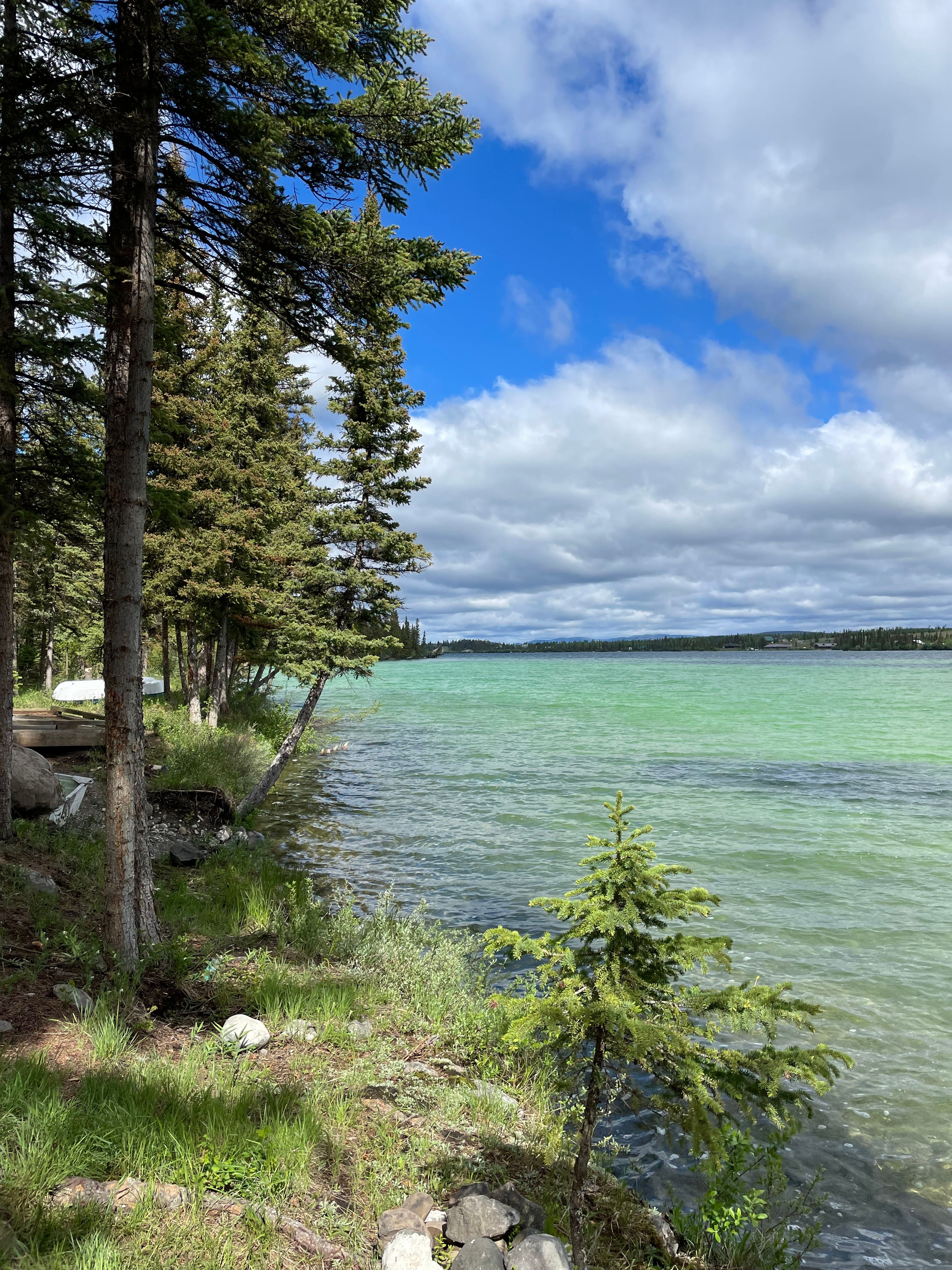 Sunset Knoll Sites on Big Bar Lake