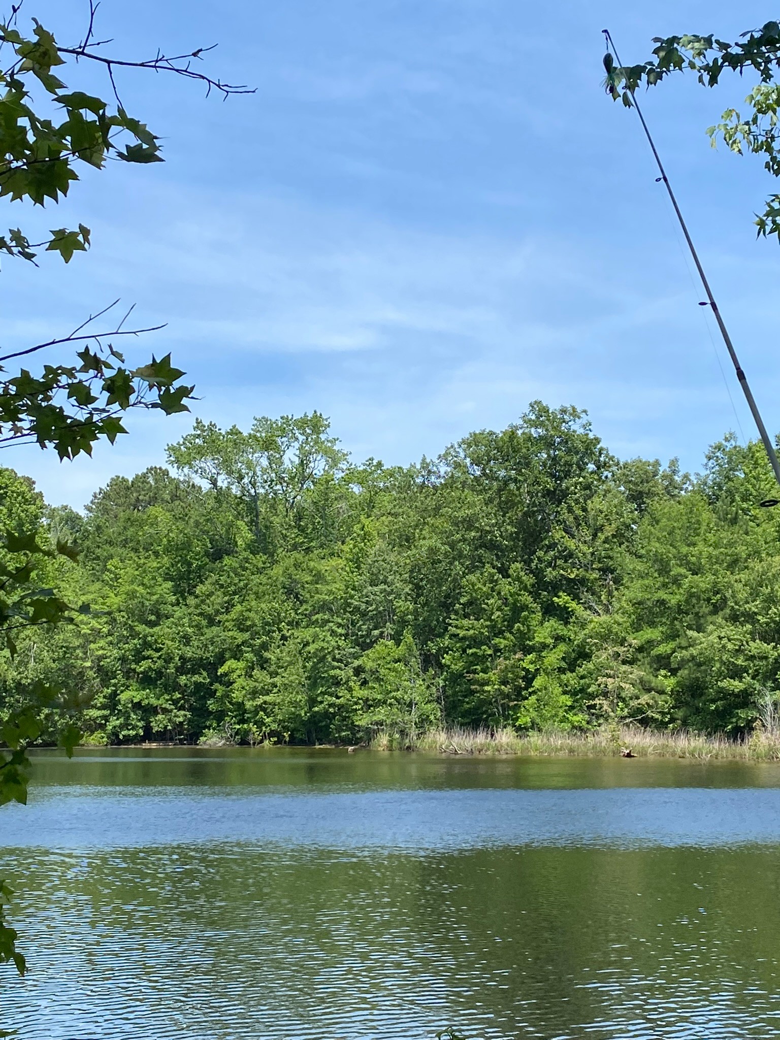 Scott’s Lakeview Camp and Park