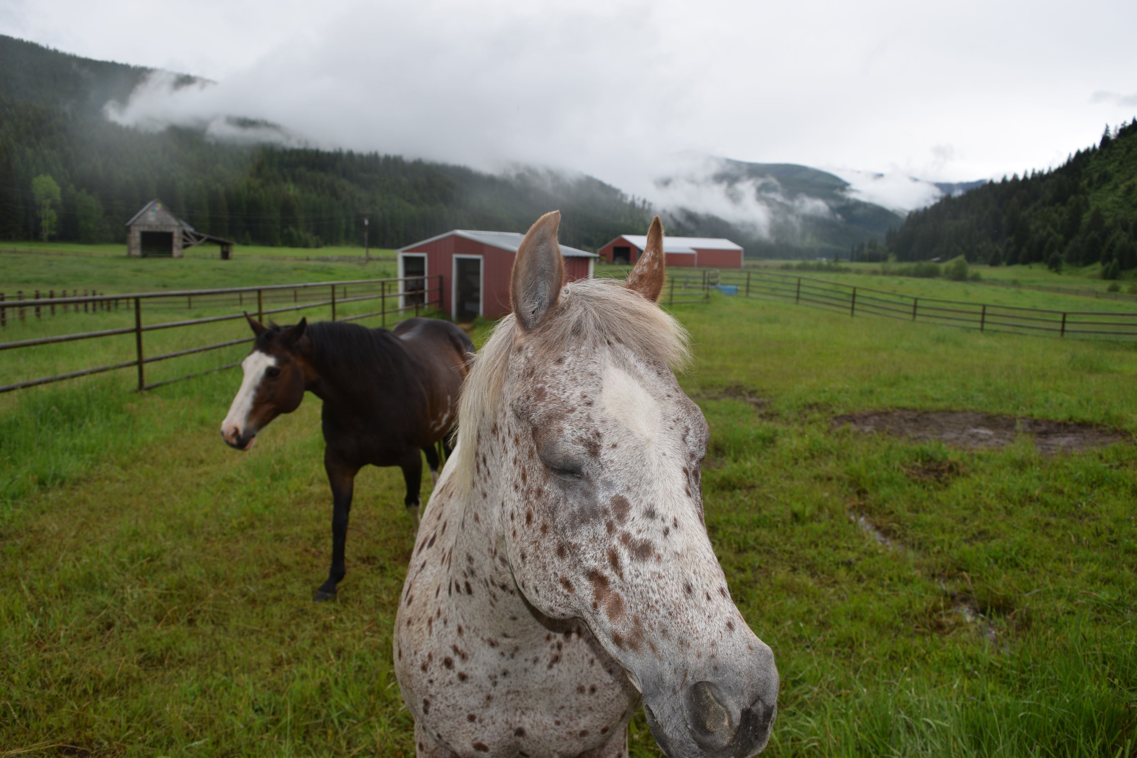 Little Beaver Creek Ranch