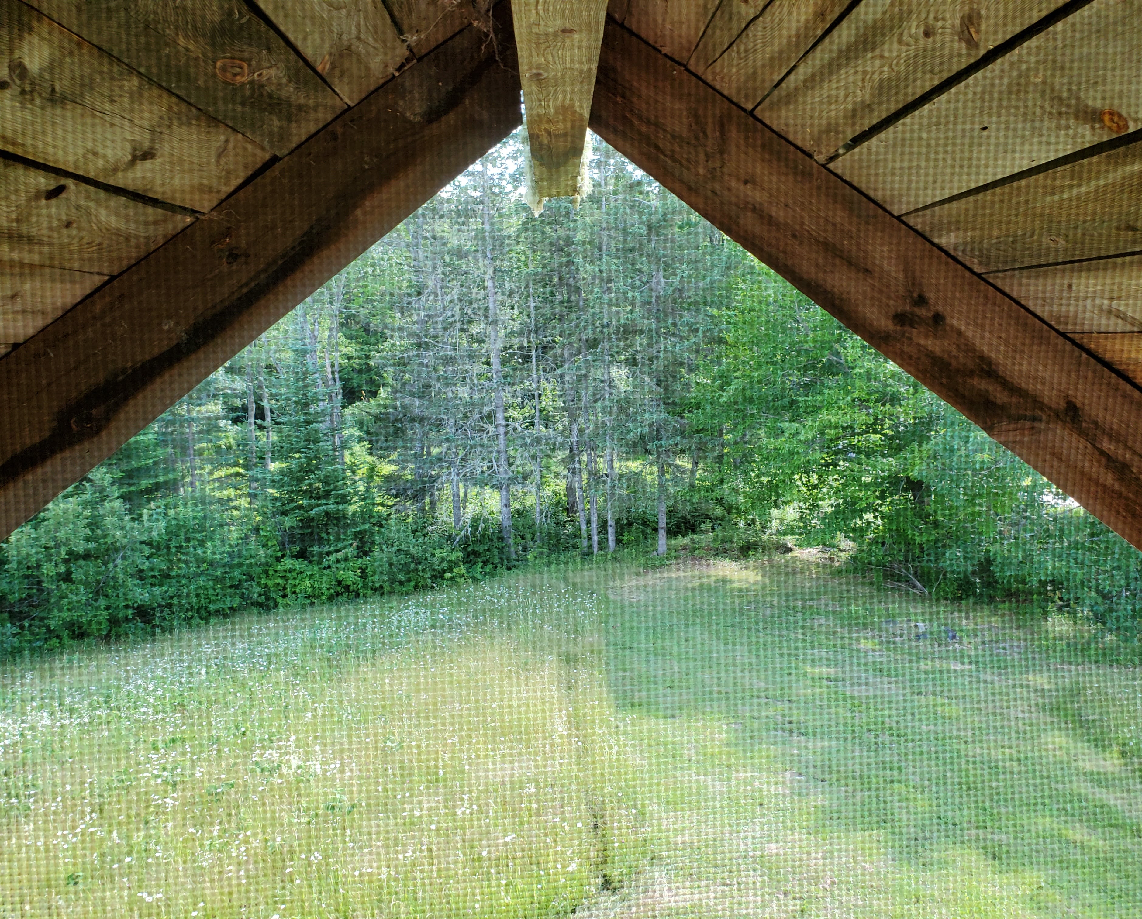 Screen window looking out at Webb Brook from sleeping loft.