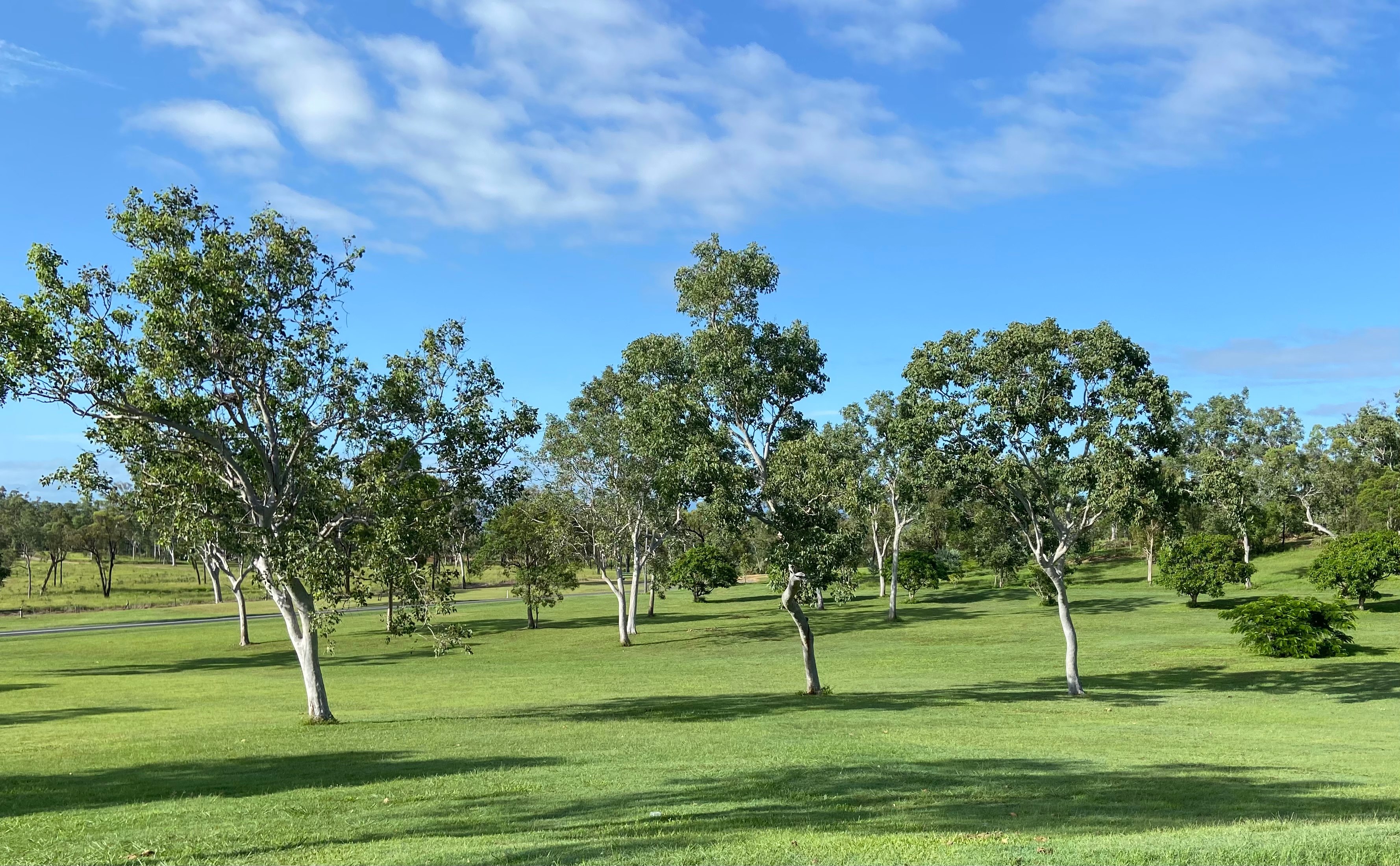 Grassy sites 