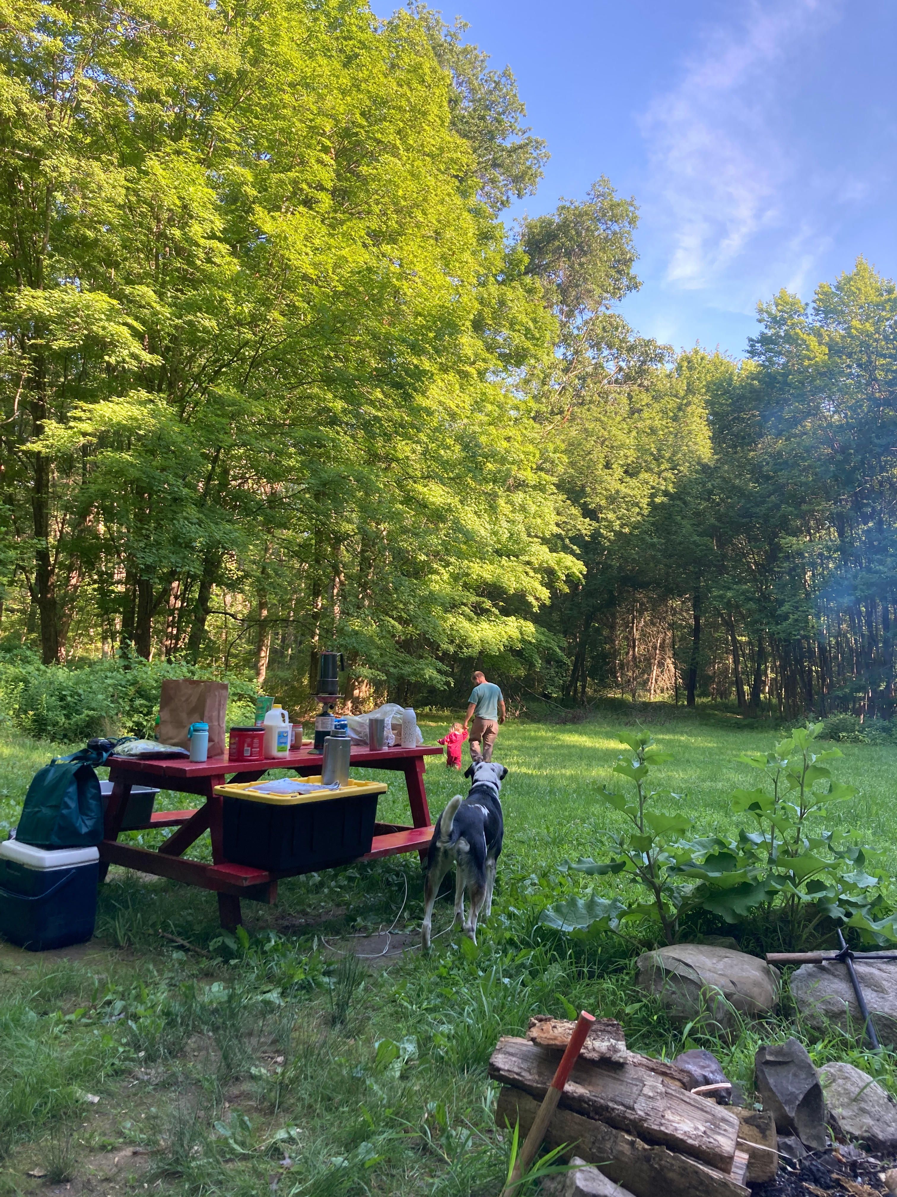 Red Fox Meadow Campsite