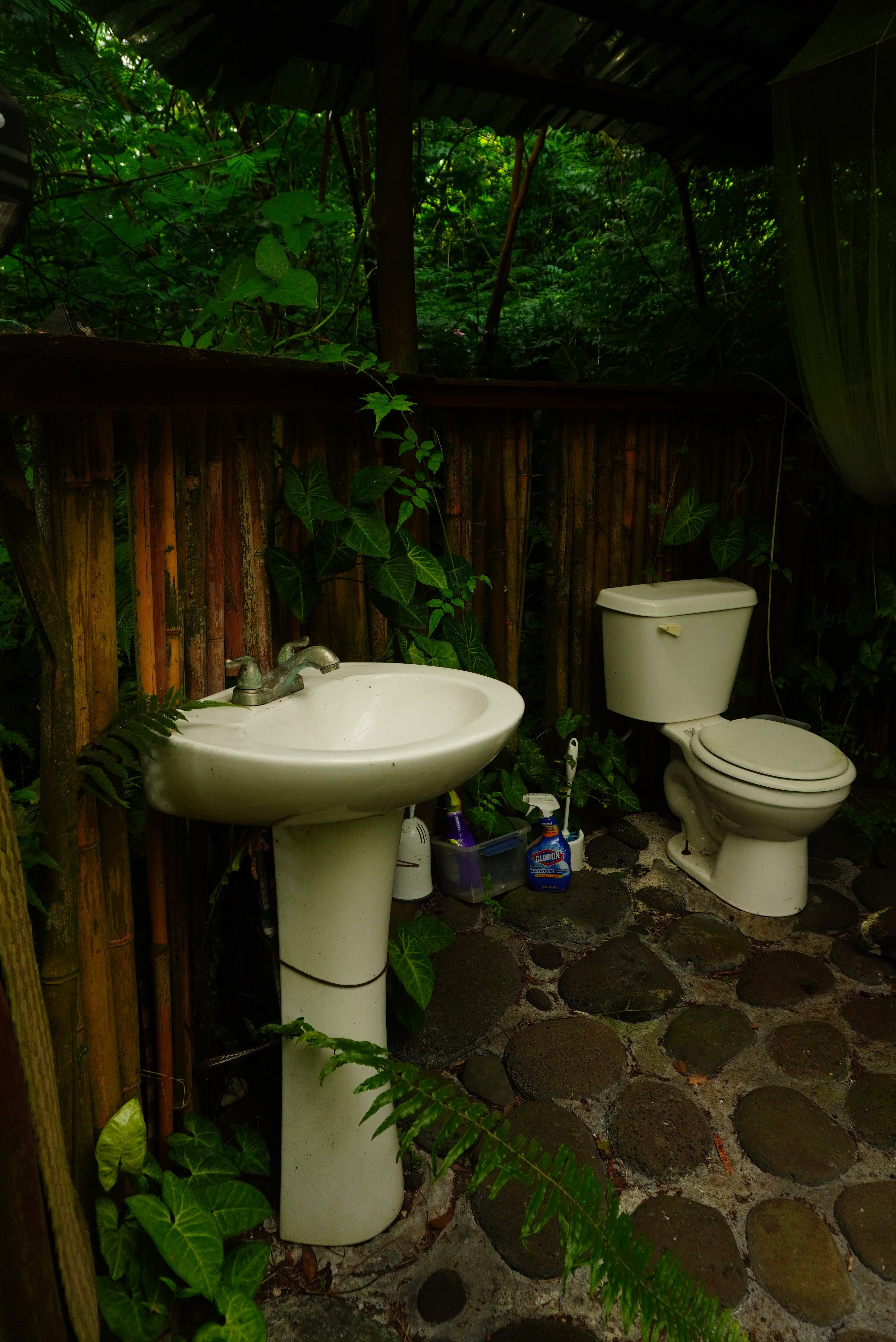 Detached toilet room down a trail of lilikoi vines about 20 feet from the hale