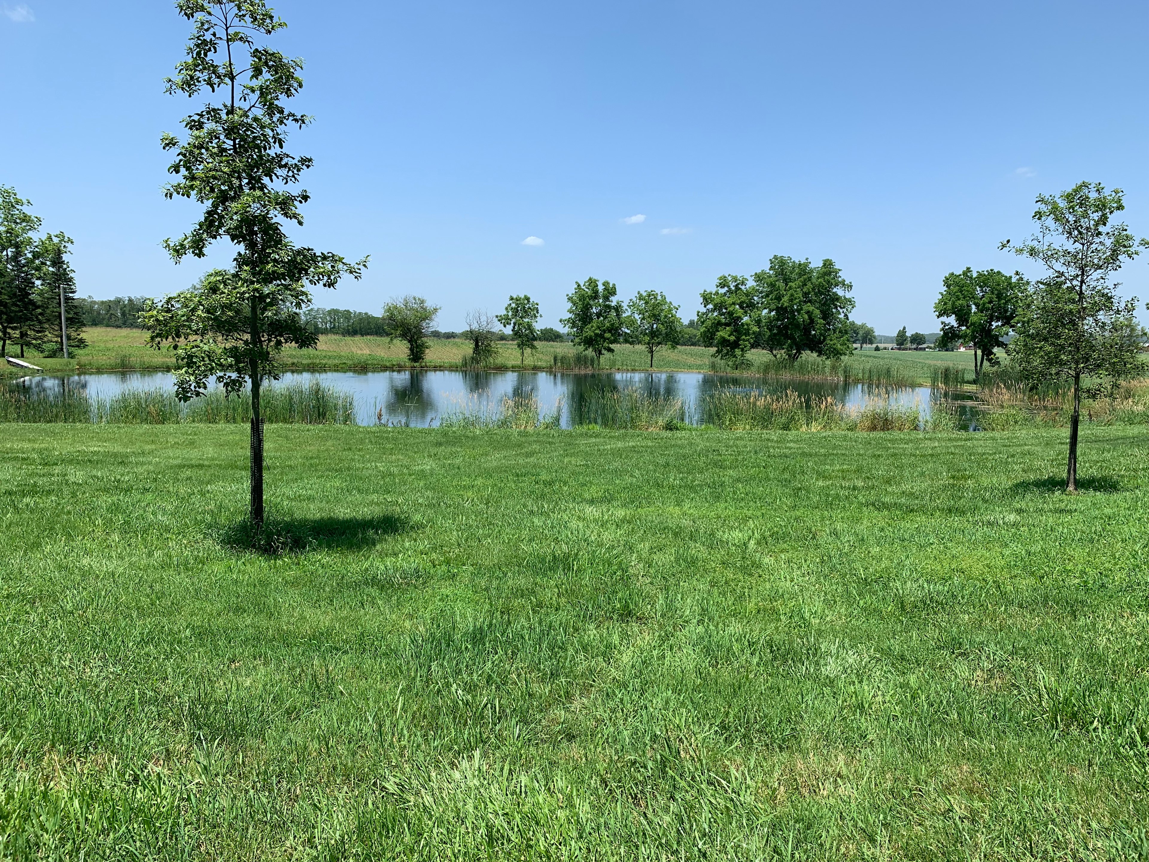 View to the north. 

Enjoy views of the pond  from your patio

Great place to enjoy nature 