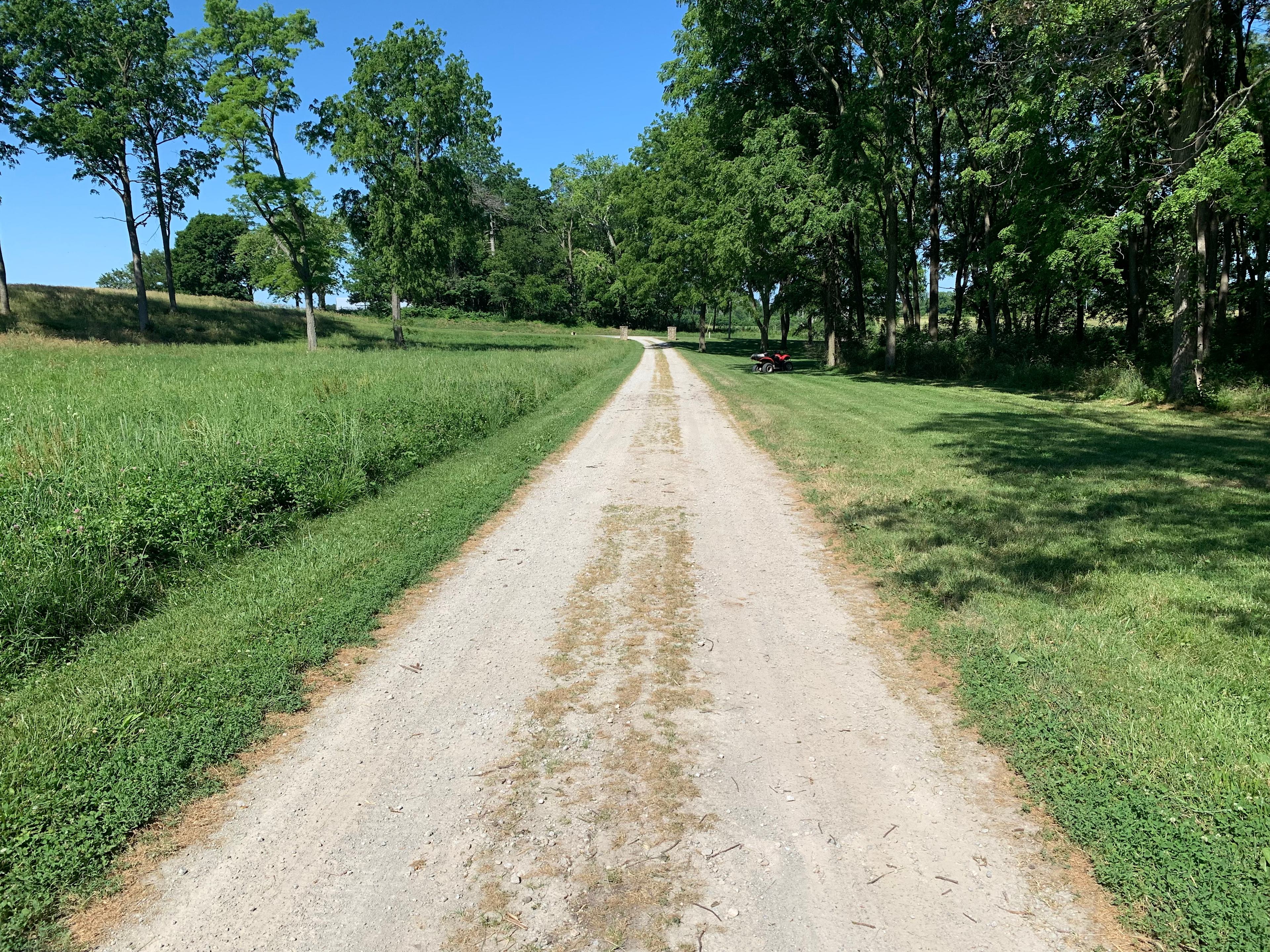 Looking west to the farm entrance
