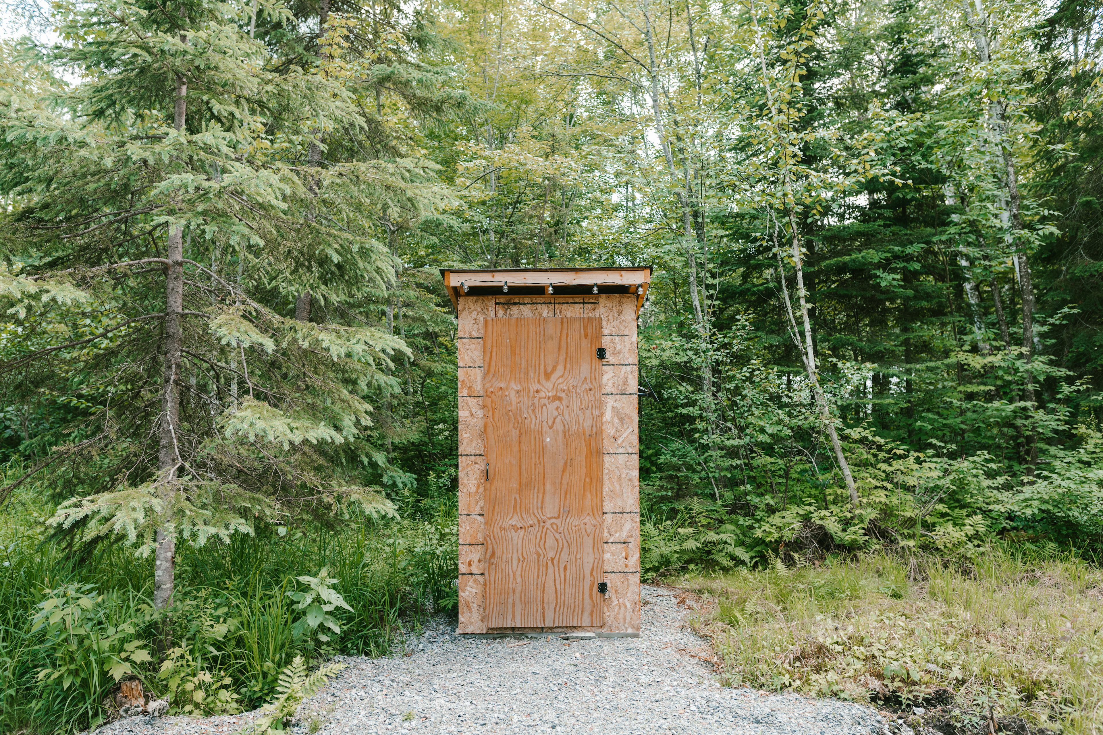 The toilet