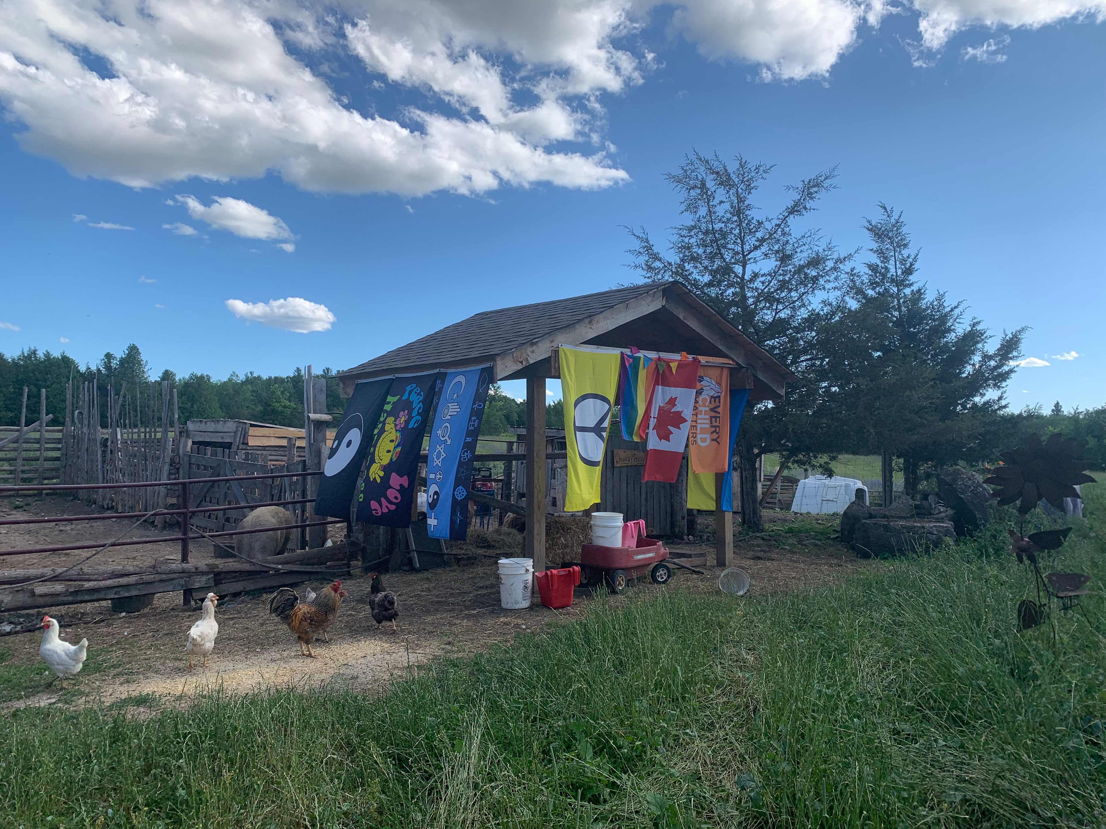 Welcome to the barnyard. If Jules or Tim are around - you are welcome to come in and have a personal visit. Larry would love a cuddle!