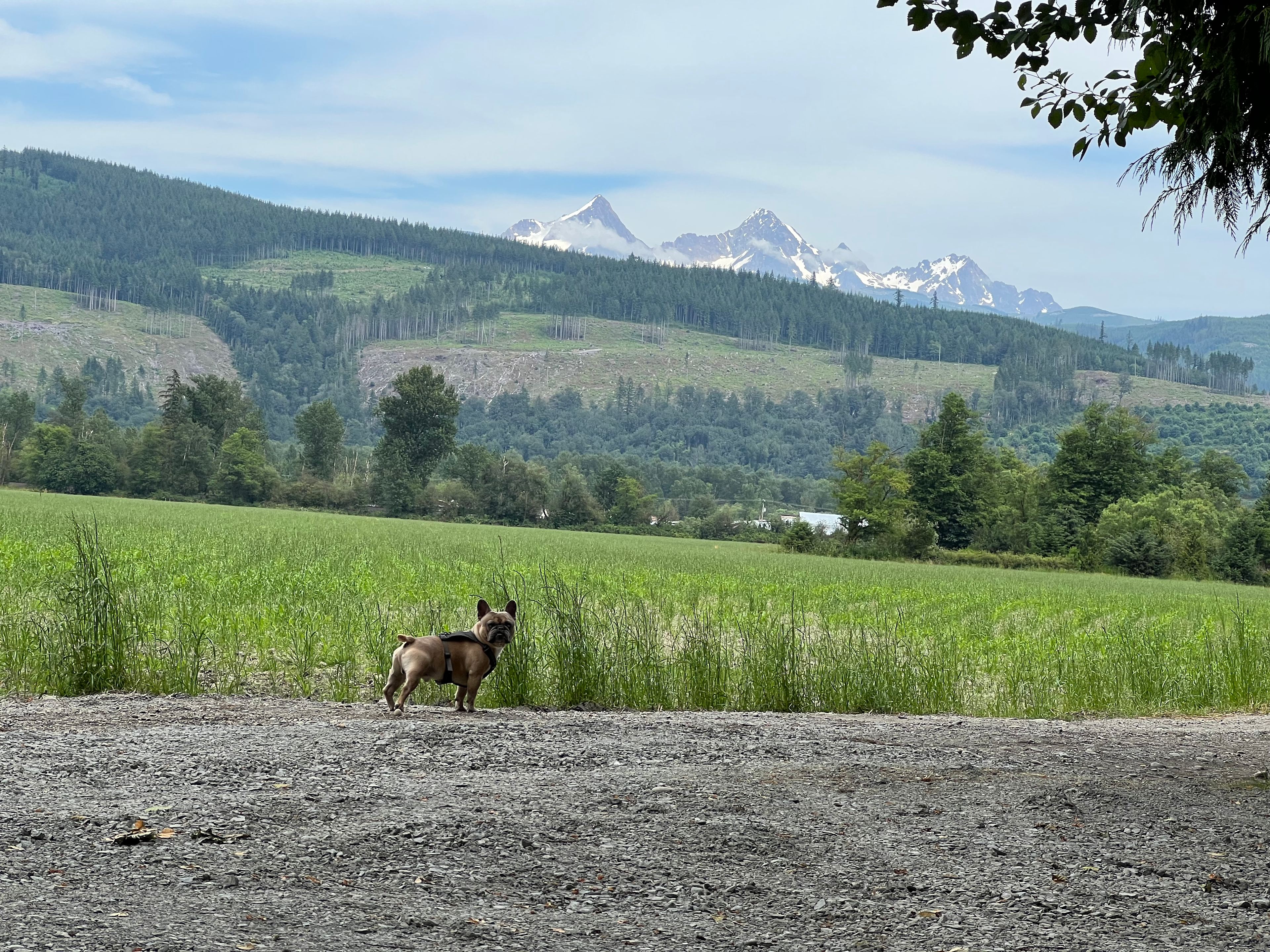 Mamas Garden River Getaway