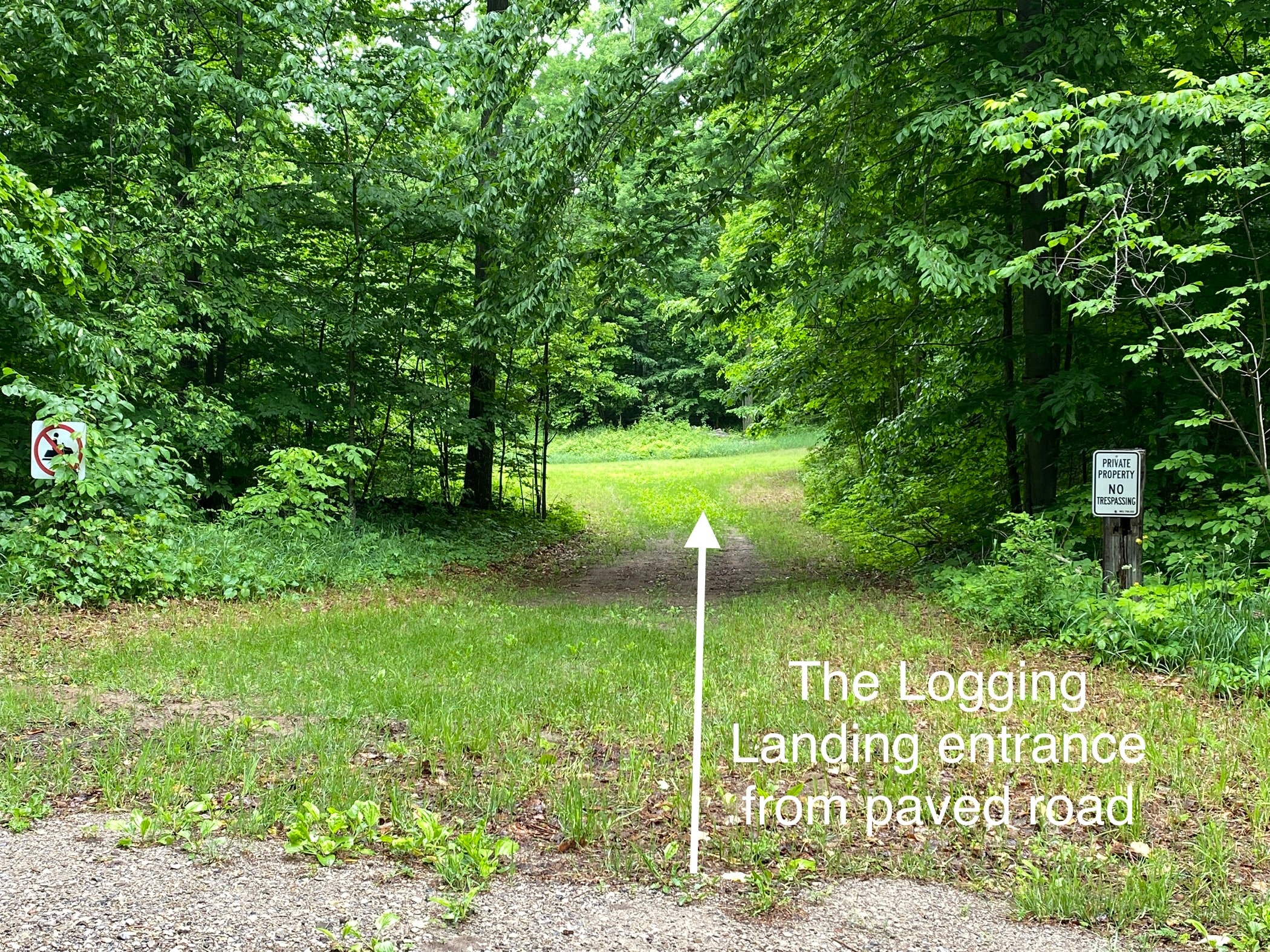 Logging Landing @ FTF