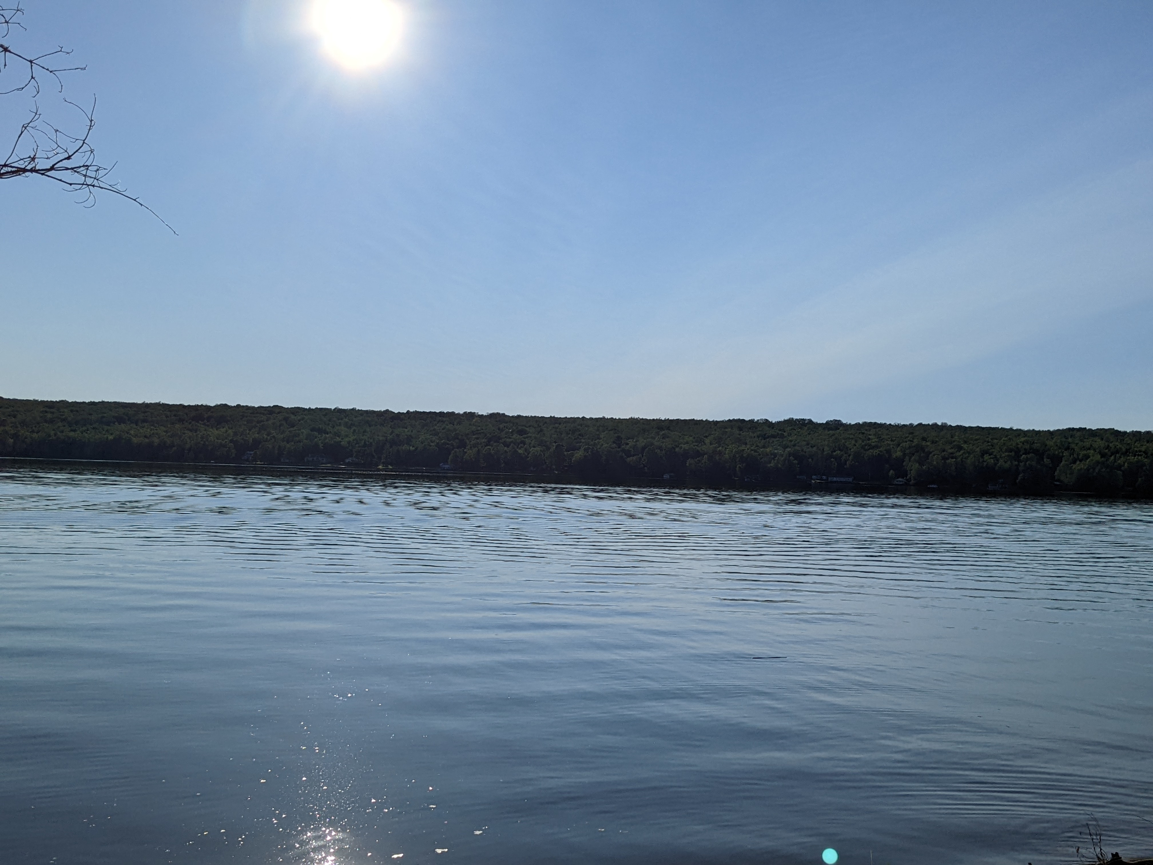 Private Wooded Camping on the Lake