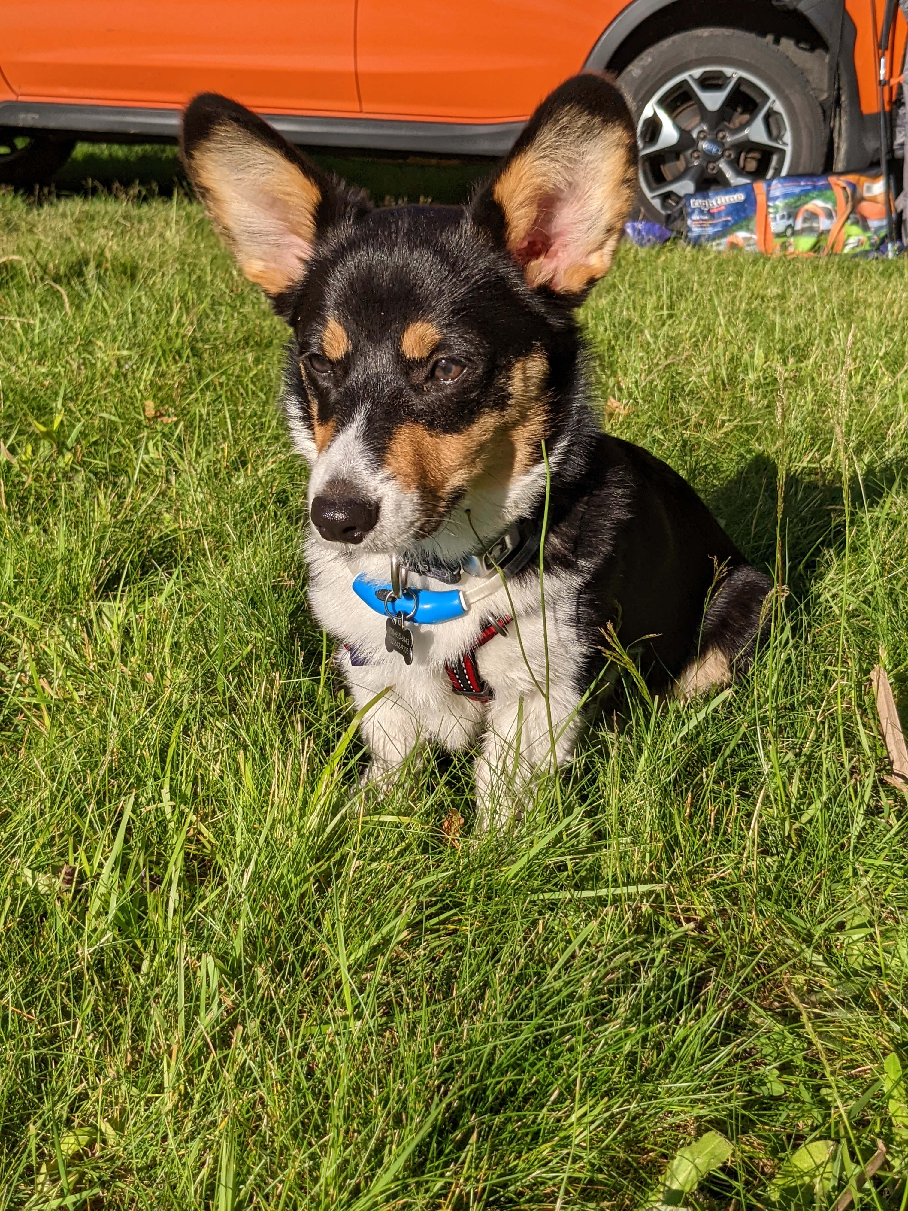 Private Wooded Camping on the Lake