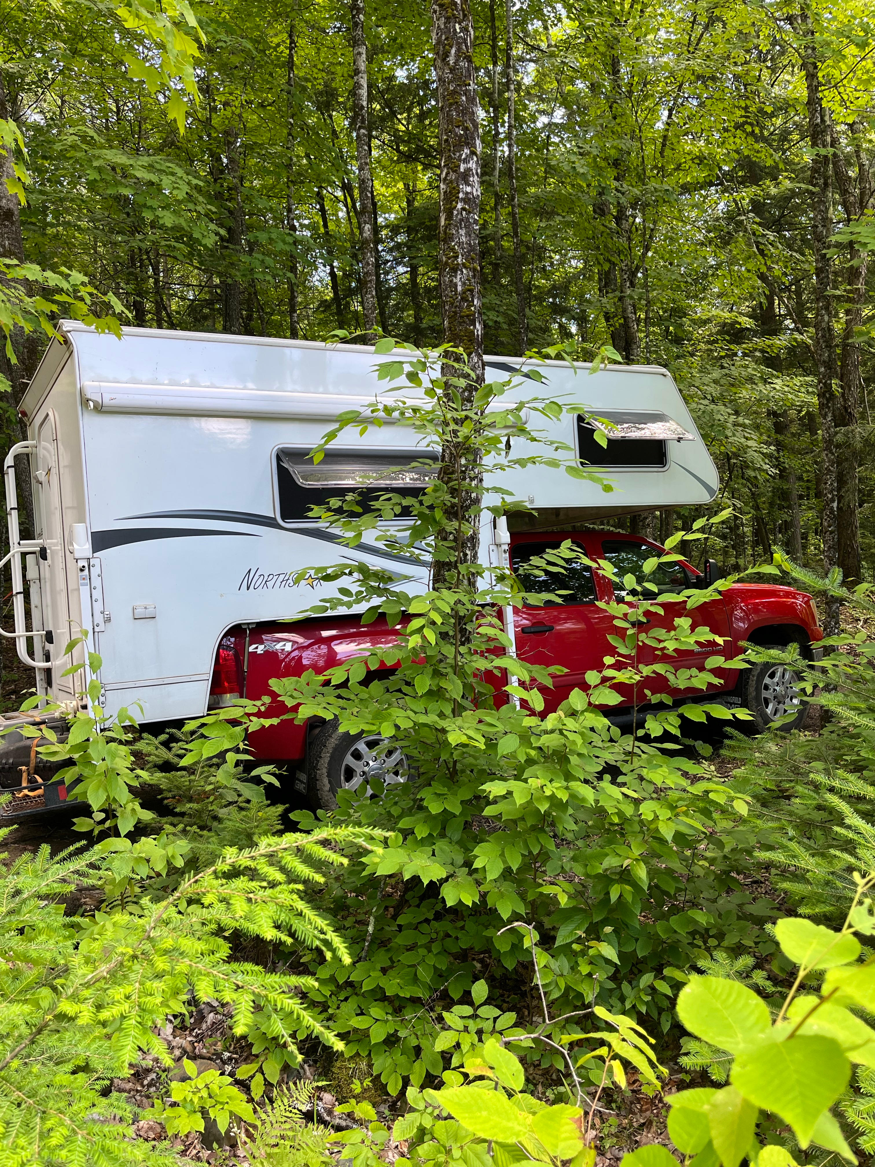 Little Sister's Campsite