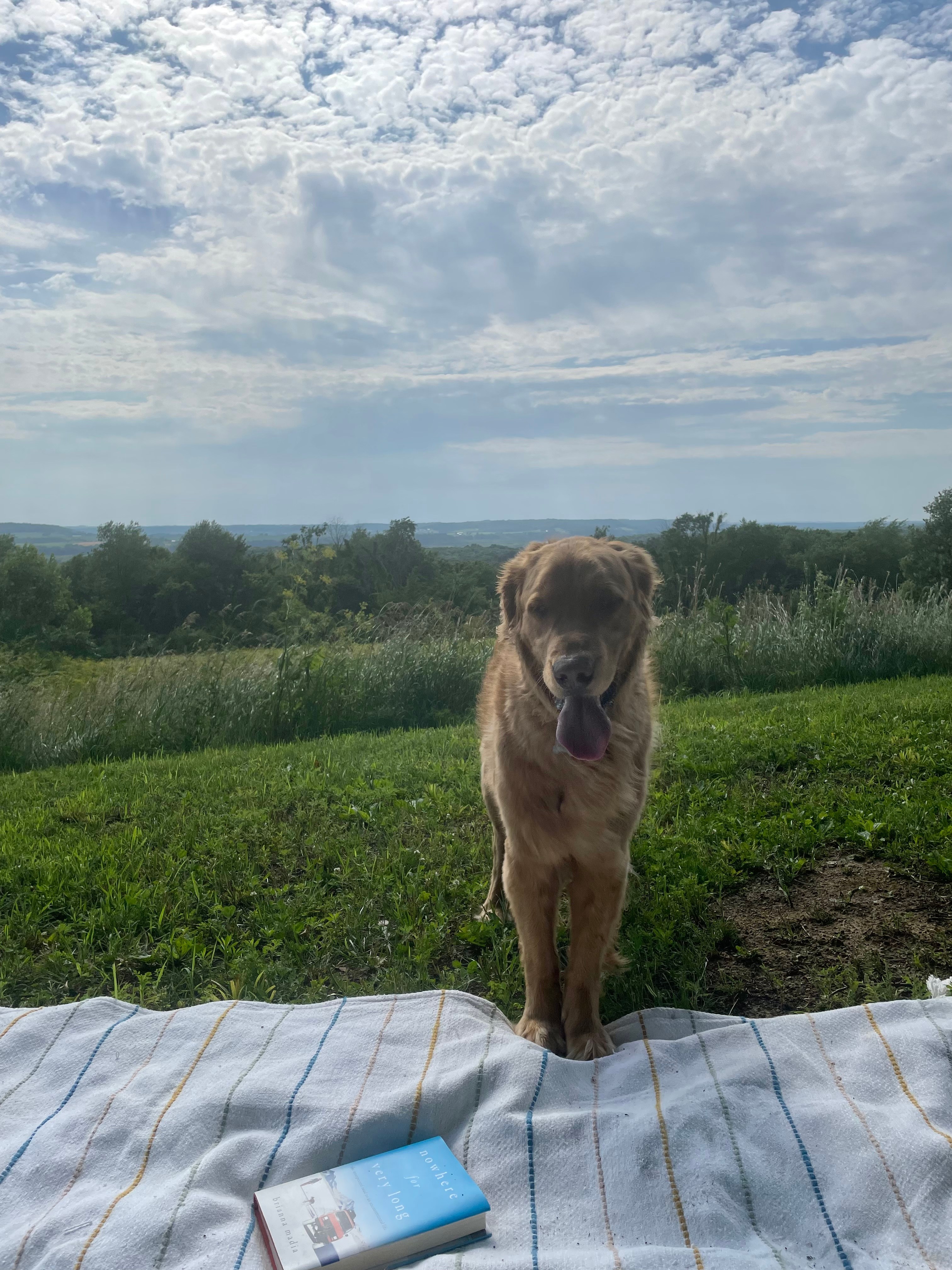 Stunning View at Galena River Ranch