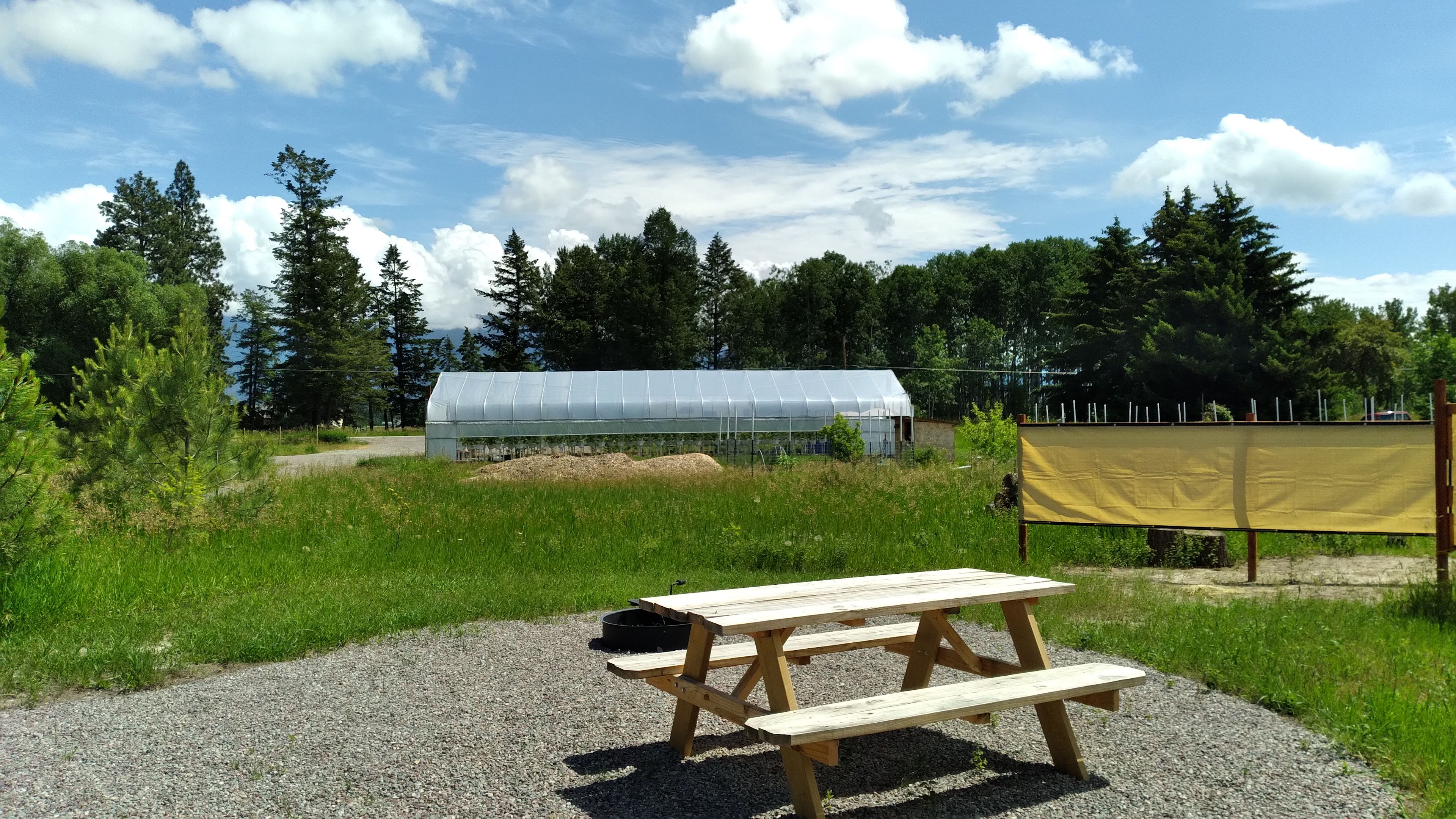 Looking east, a view of the greenhouse where hydroponic strawberries are grown.