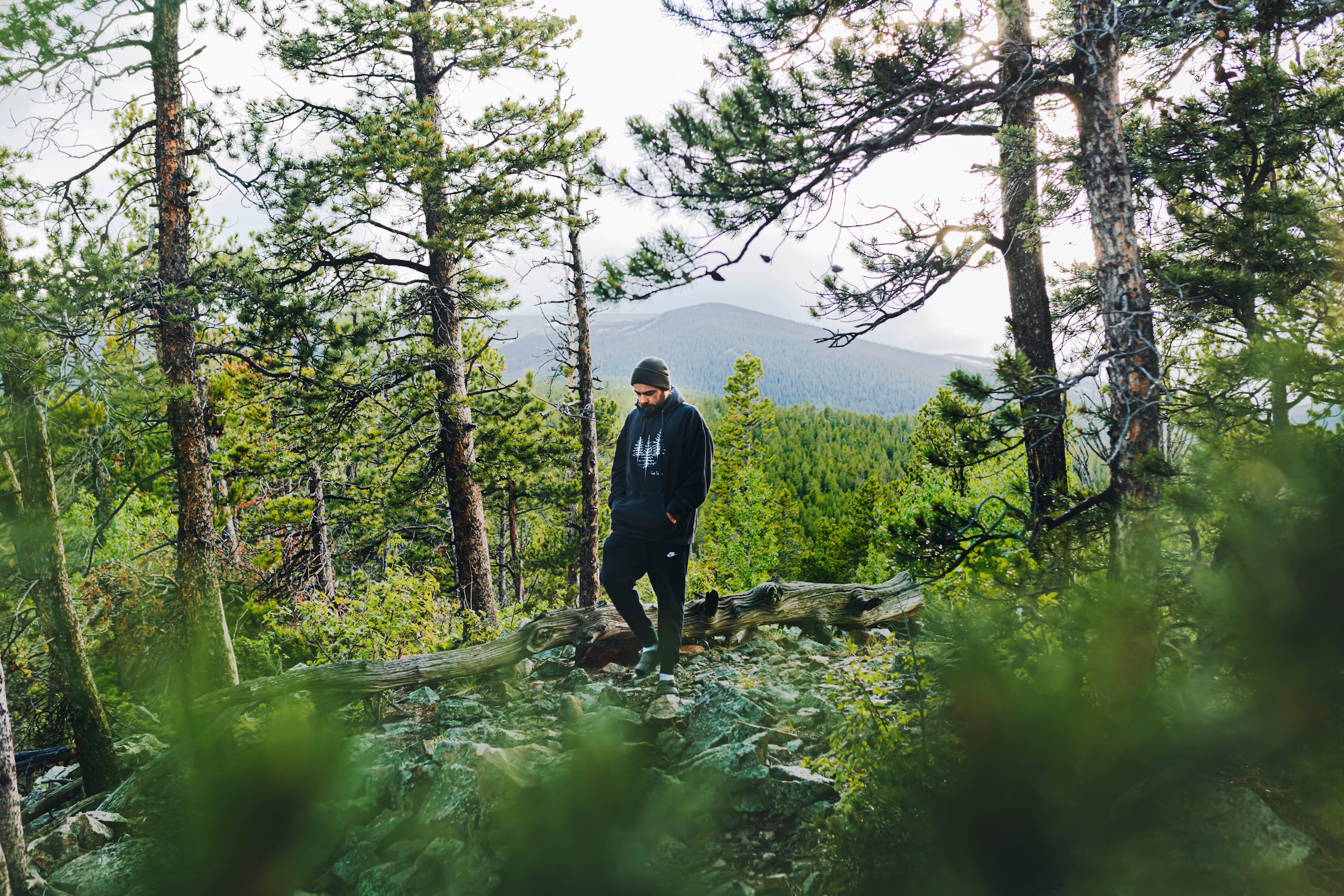 Small hikes on the property 