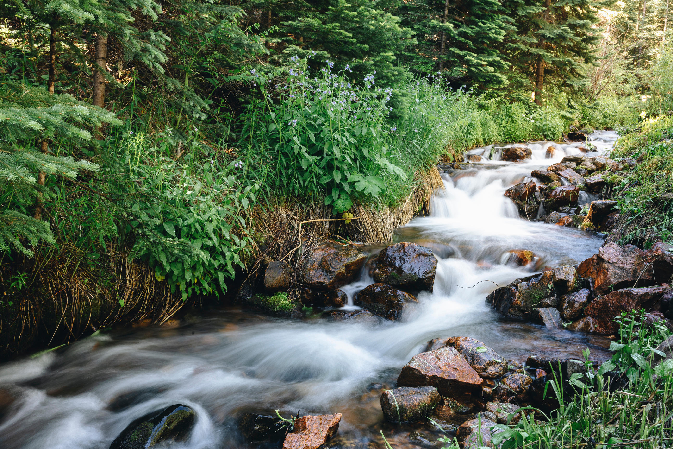 Beautiful river on our way up