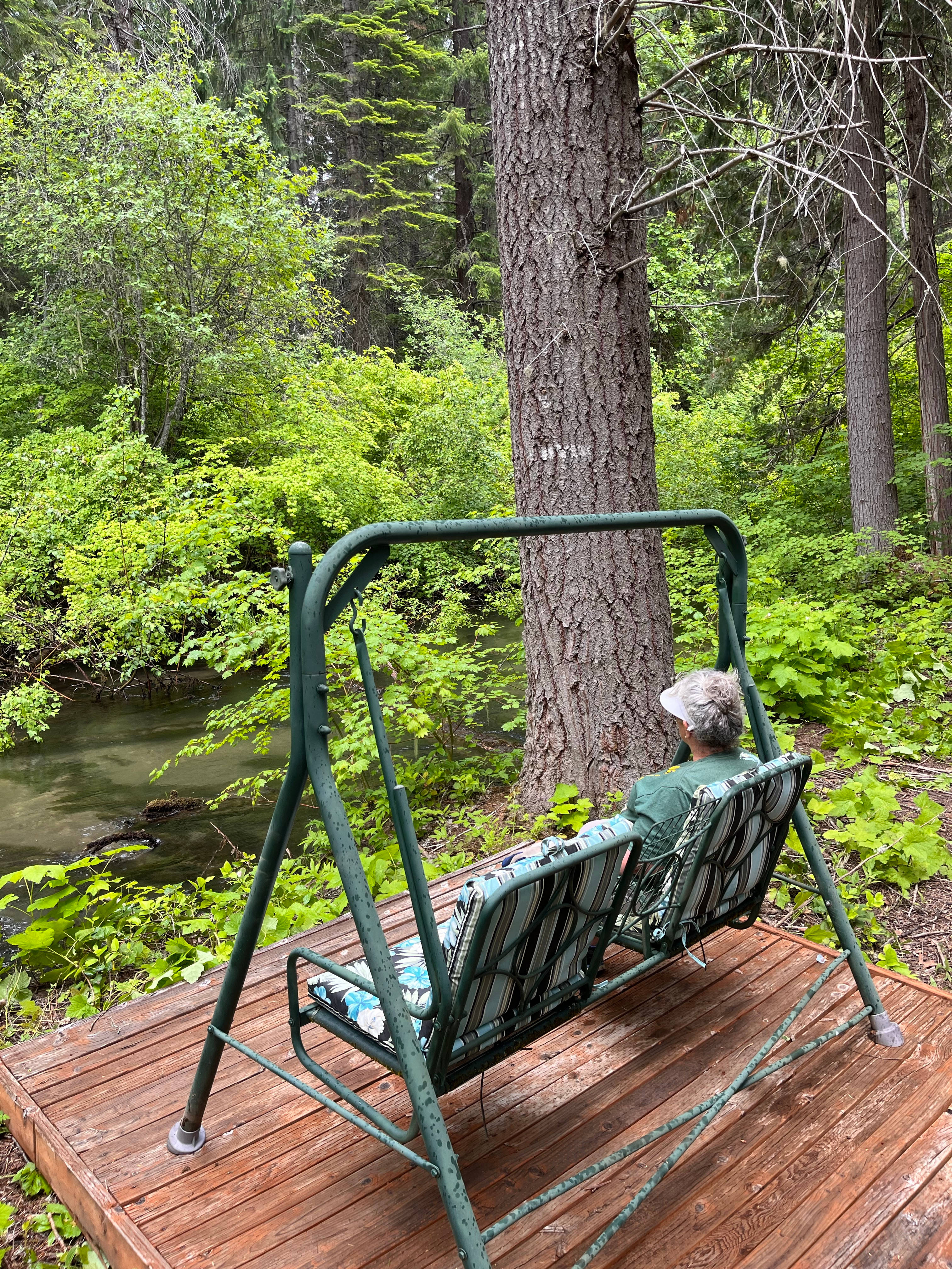 Relaxing by the creek 