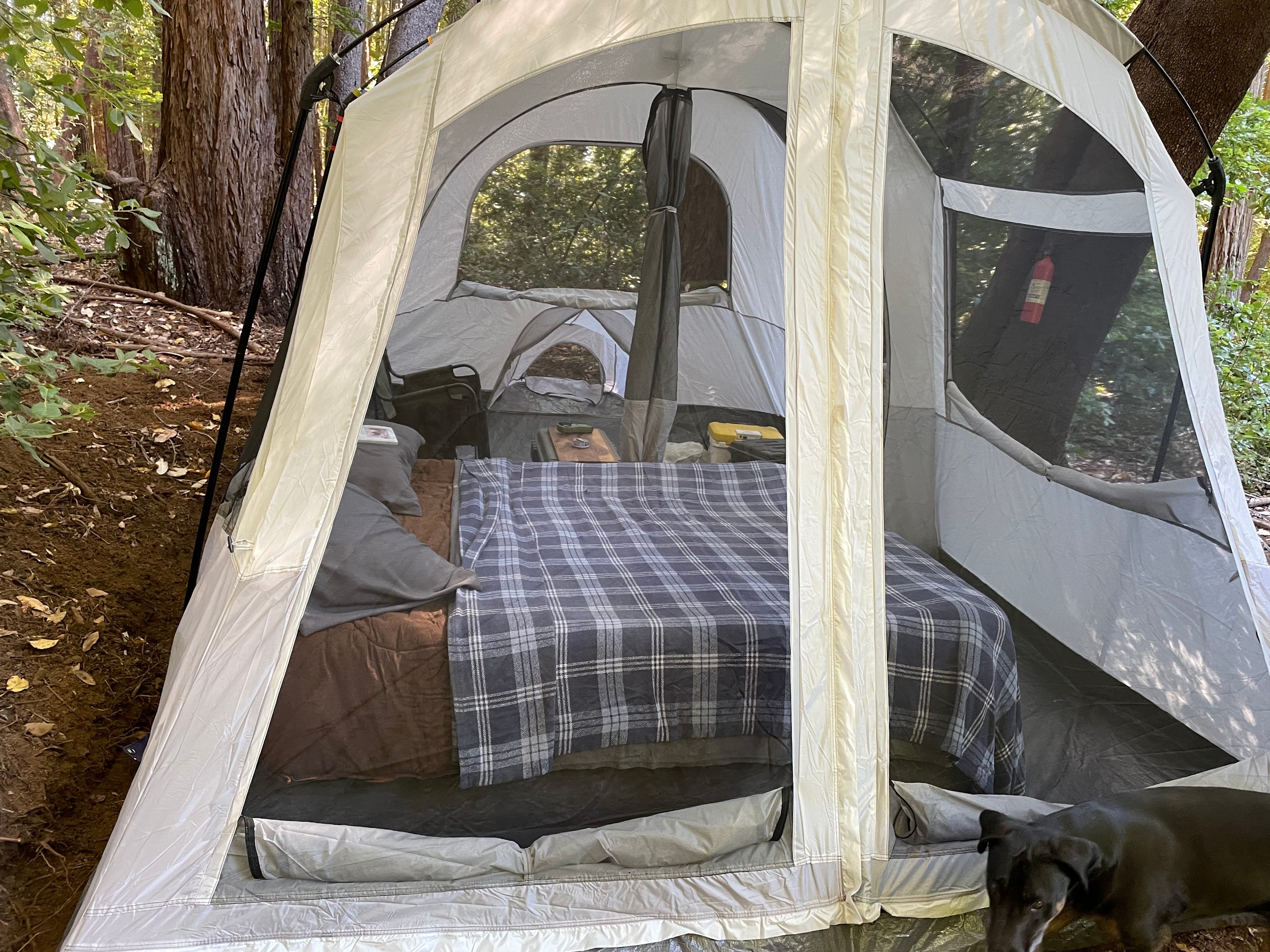 Redwood Paradise Camping